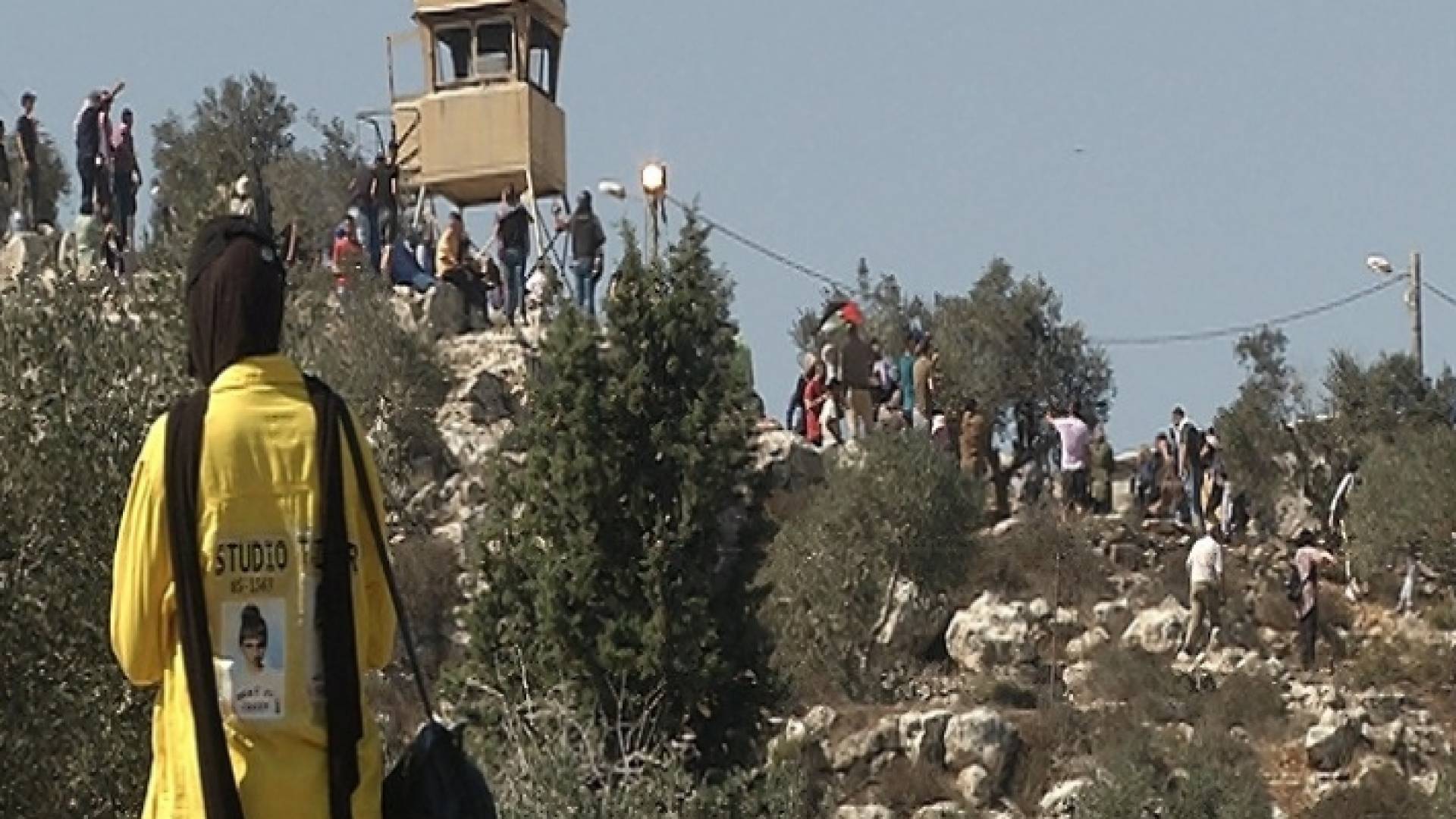 مئات الفلسطينيين يصلون إلى أراضيهم على جبل صبيح