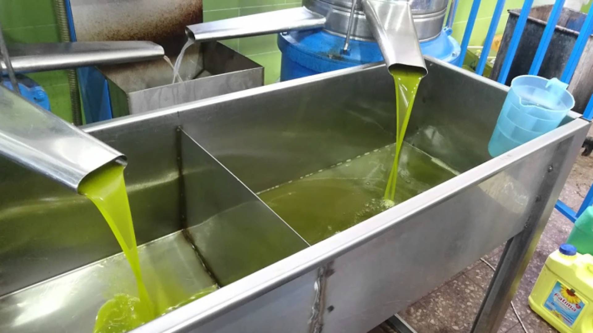 معصرة زيتون