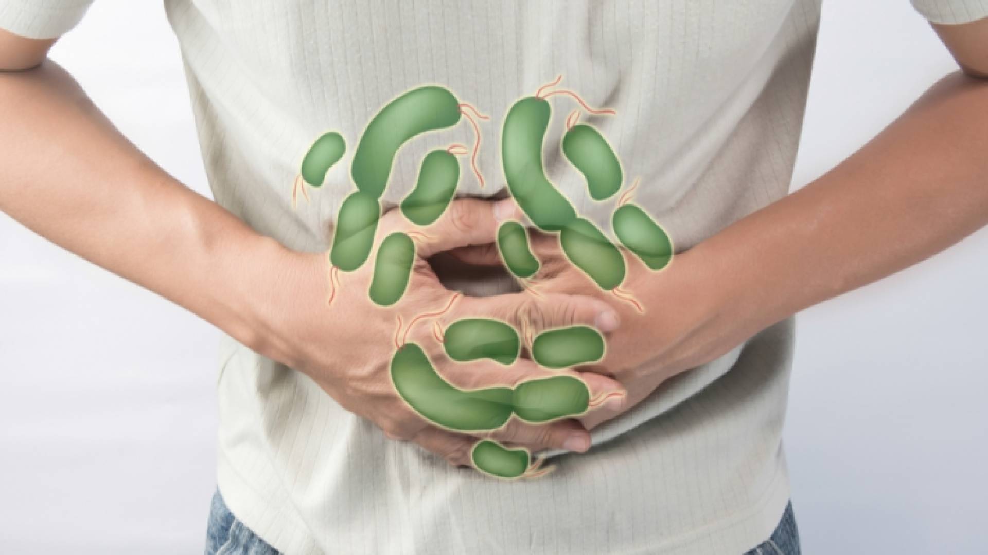 جرثومة "الشيغيلا"