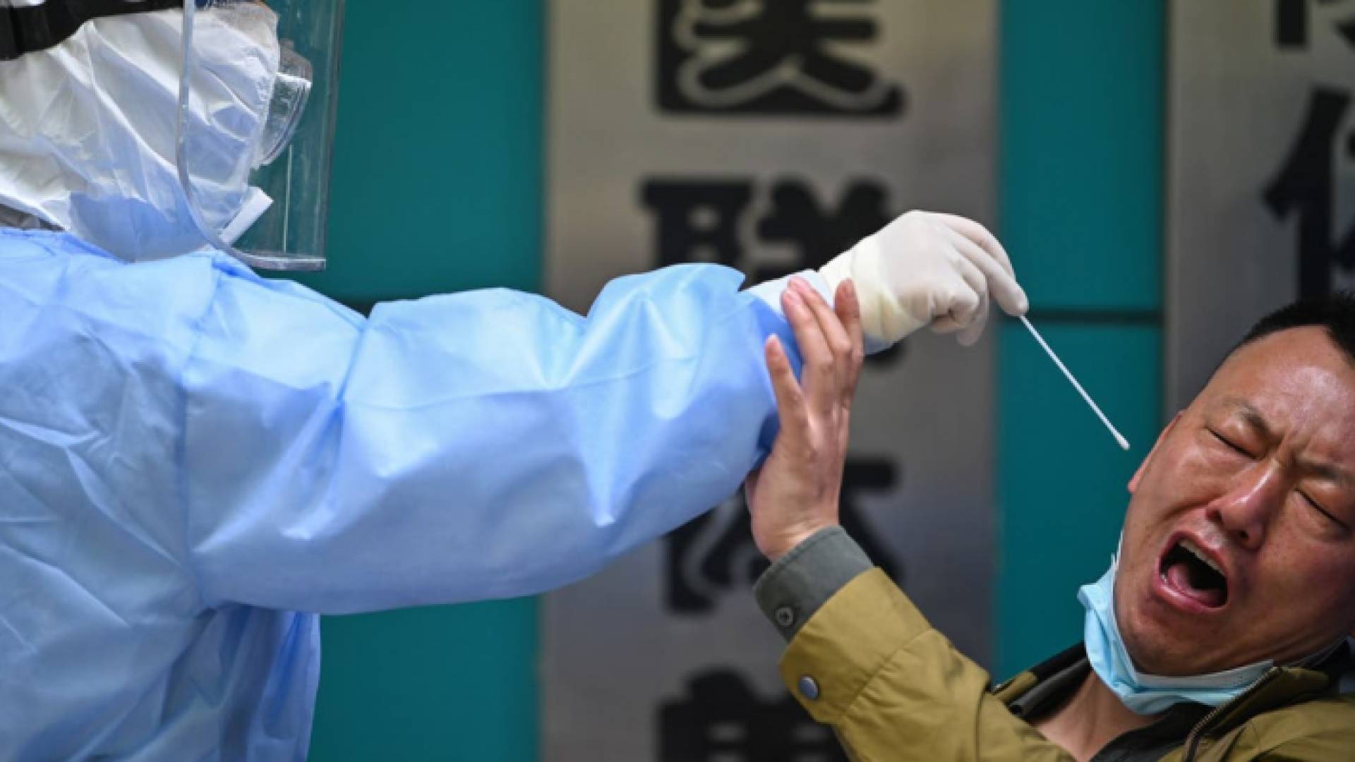 إجراء فحص PCR - ارشيفية