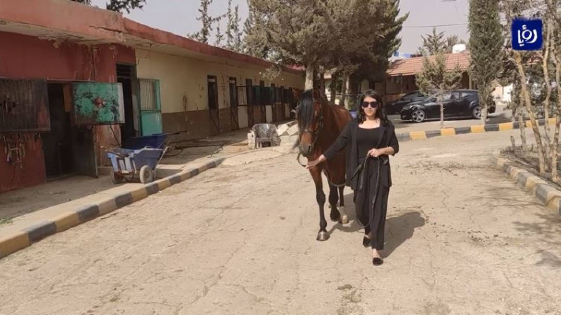 لولوه الفايز