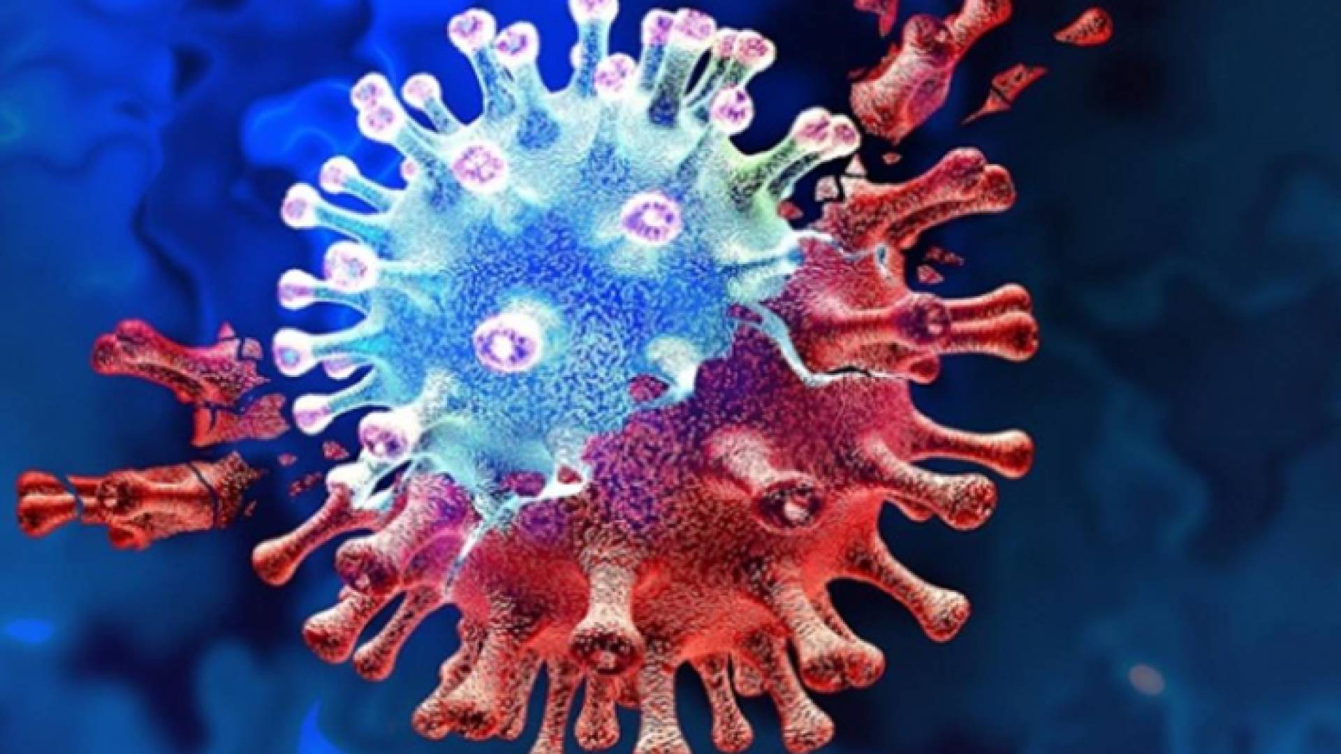 فيروس كورونا