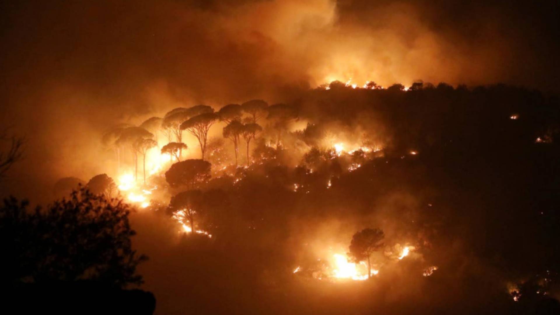 حرائق سوريا