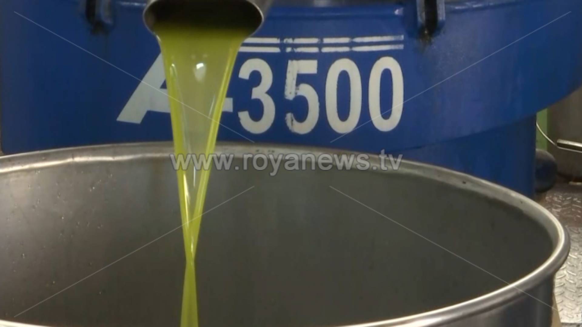 زيت الزيتون