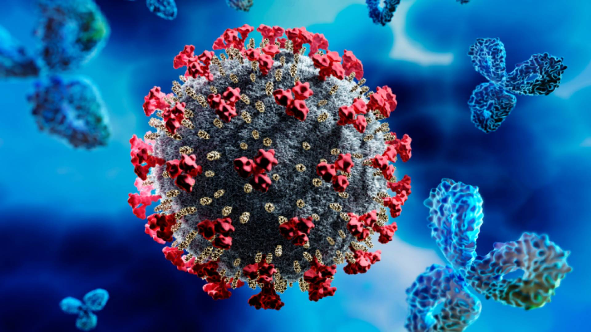 فيروس كورونا - تعبيرية