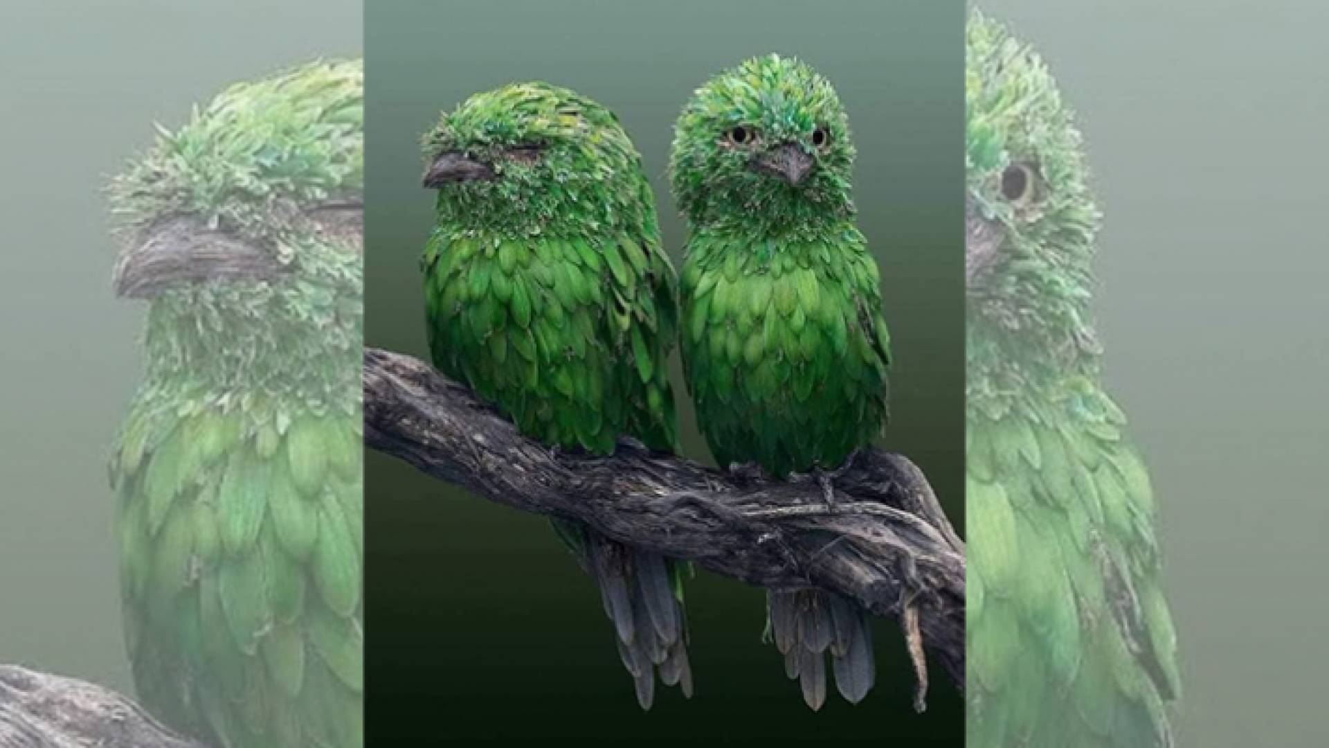 الطائر الأخضر