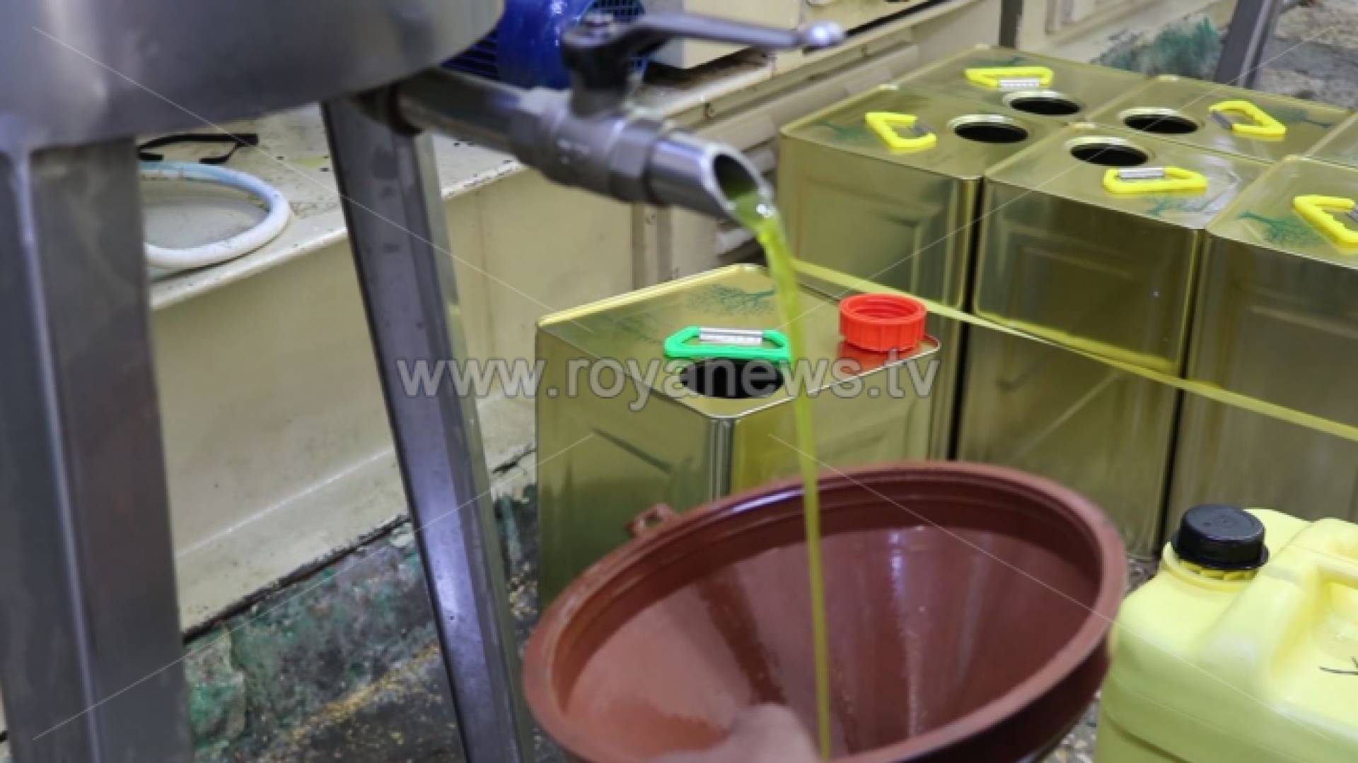 توقع السماعين أن يكون الإنتاج المتوقع من زيت الزيتون لهذا العام هو 22-24 ألف طن زيت