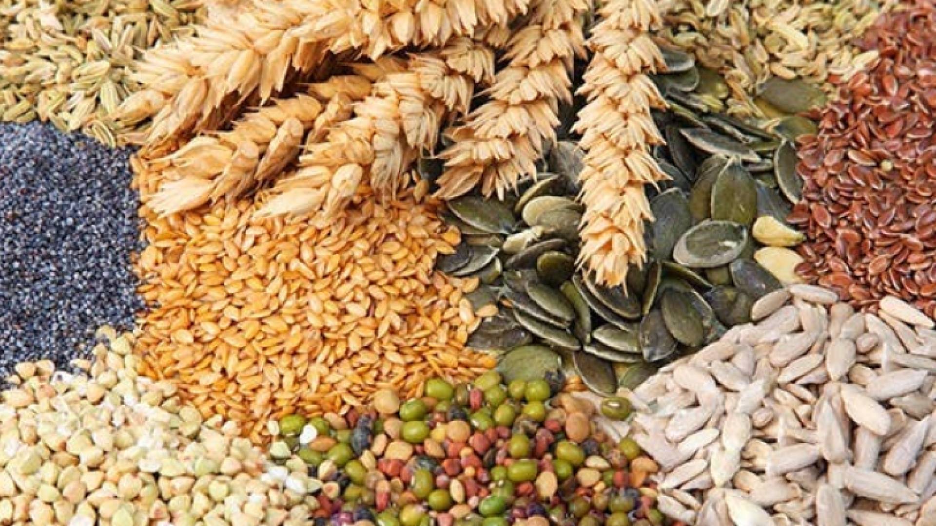 الصورة تعبيرية