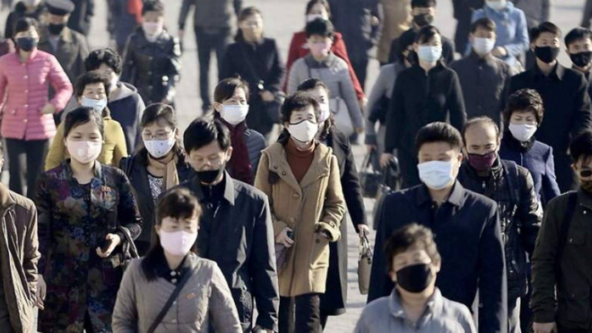 كورويا الشمالية