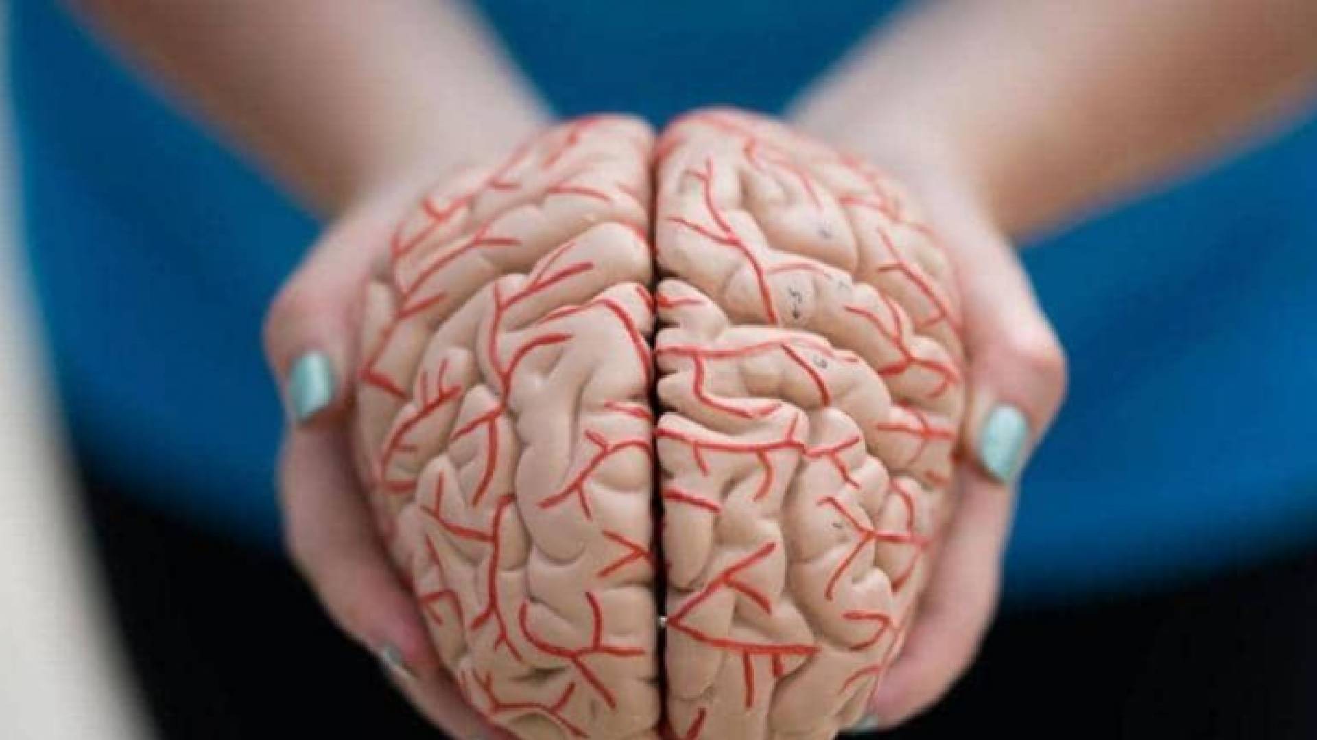 صورة لدماغ الانسان - تعبيرية