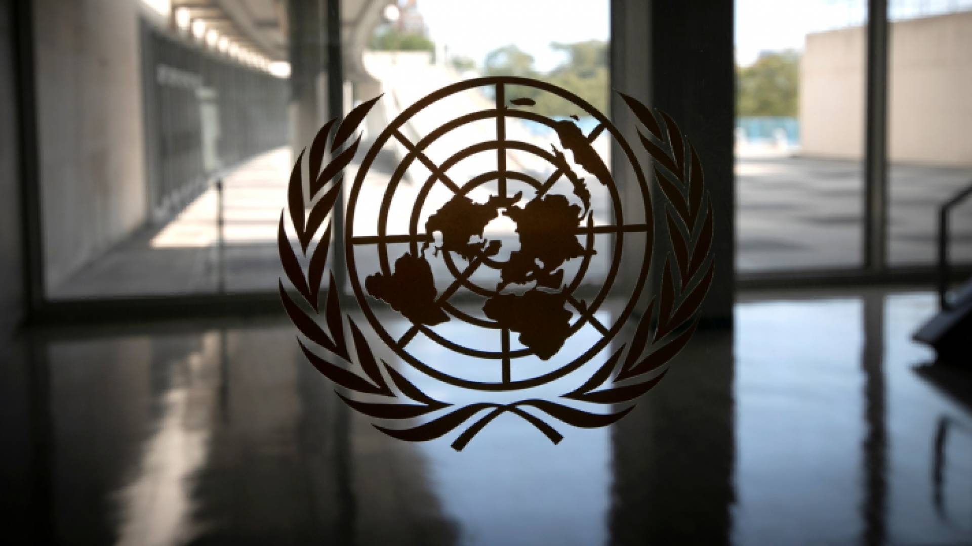 شعار الأمم المتحدة