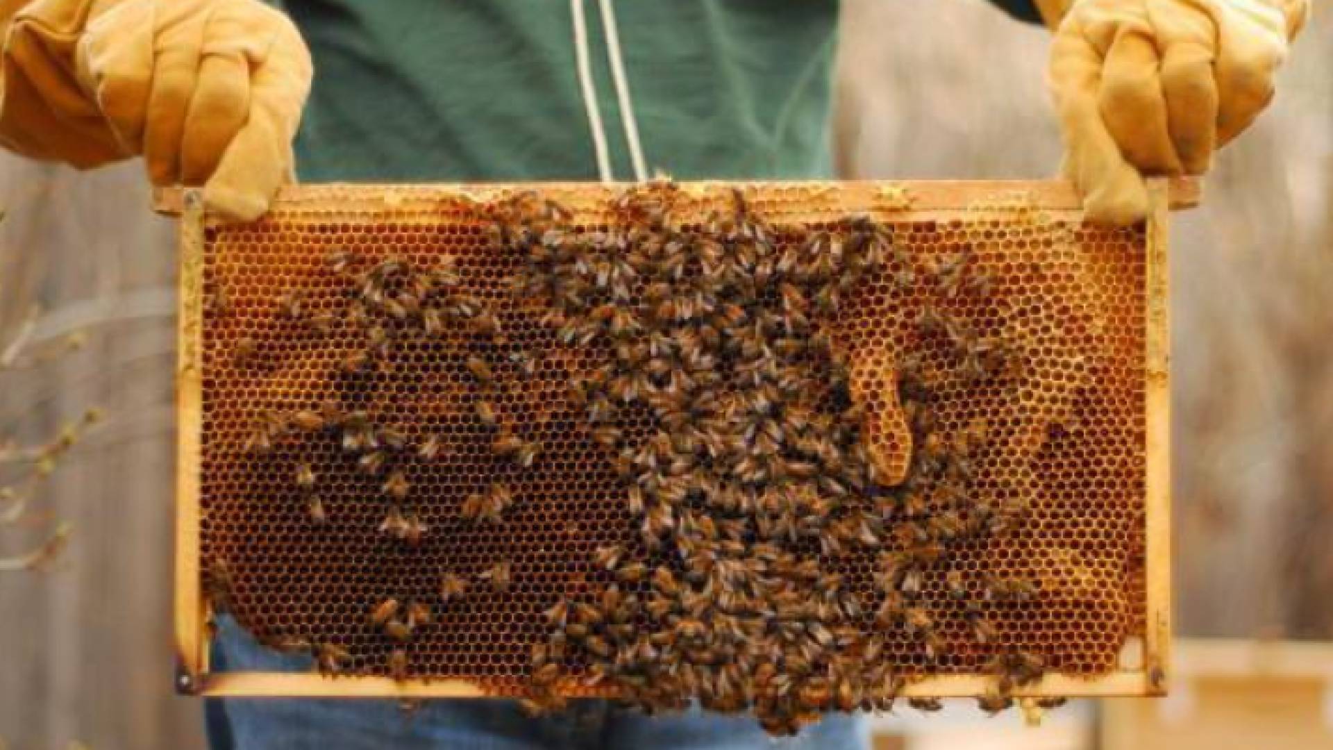 الصورة تعبيرية