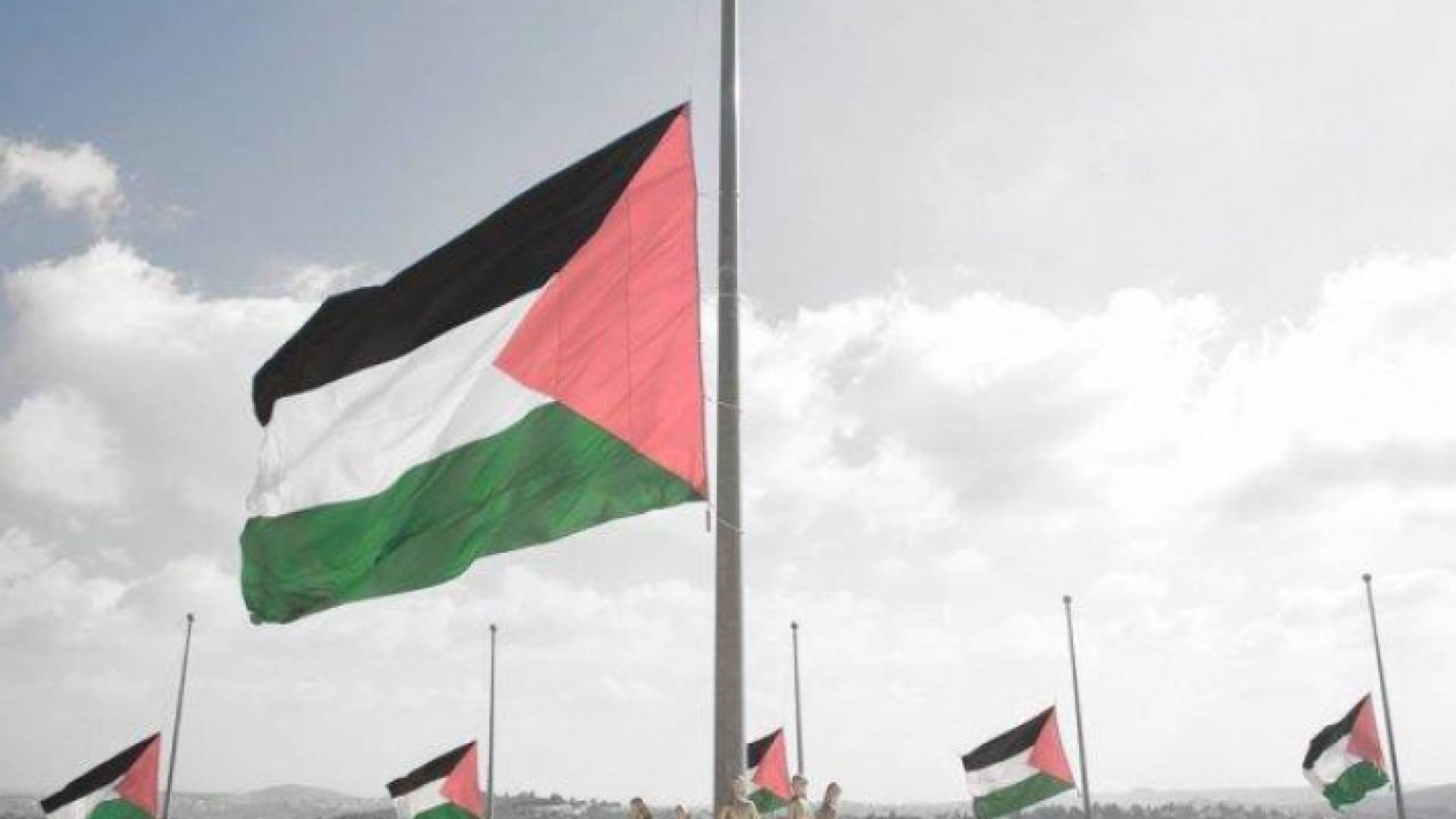 علم فلسطين - ارشيفية