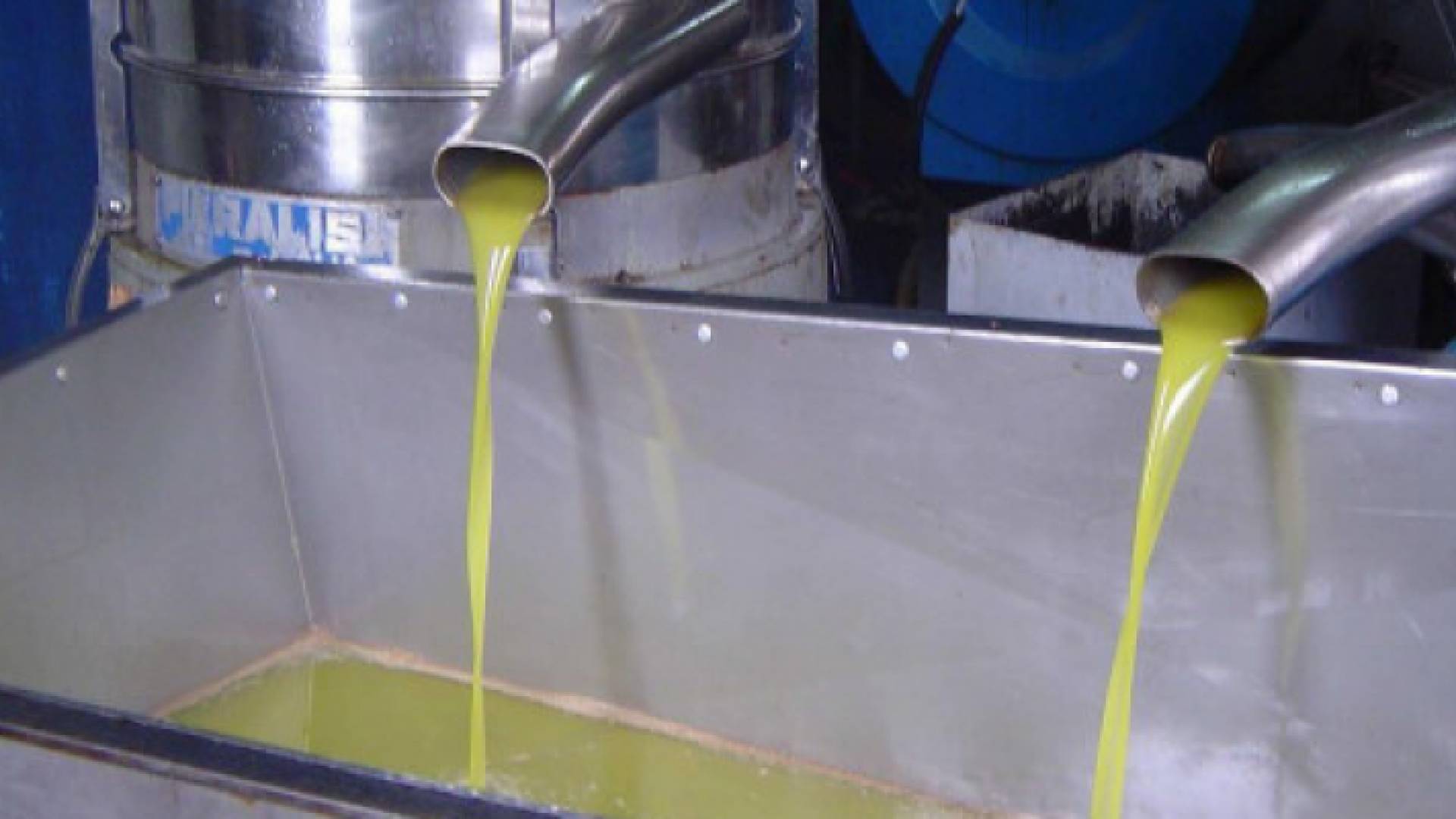 معصرة زيتون - ارشيفية