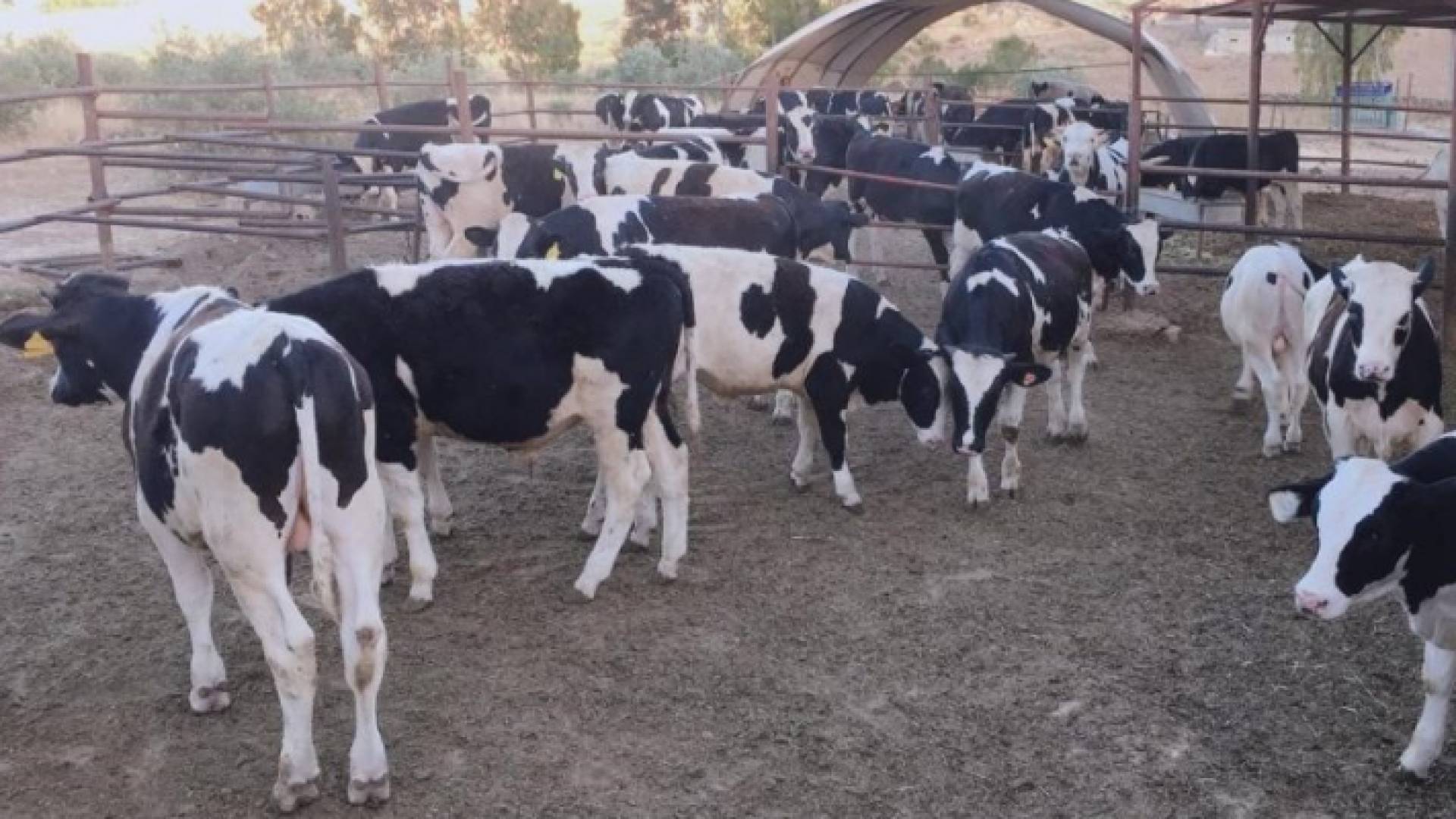 الصورة ارشيفية