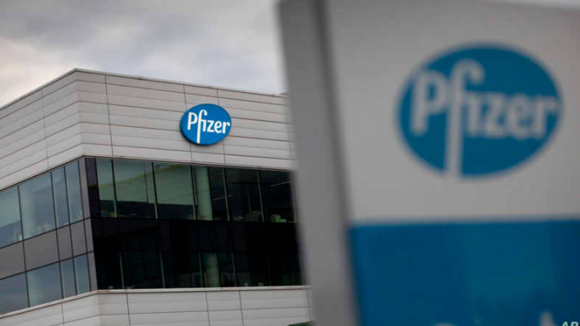 فايزر: الدواء المضاد لفيروس كورونا يقي بنسبة 89% من الوفاة والدخول للمشافي