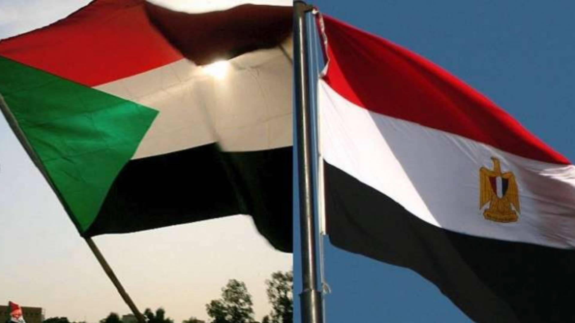 علما مصر والسودان