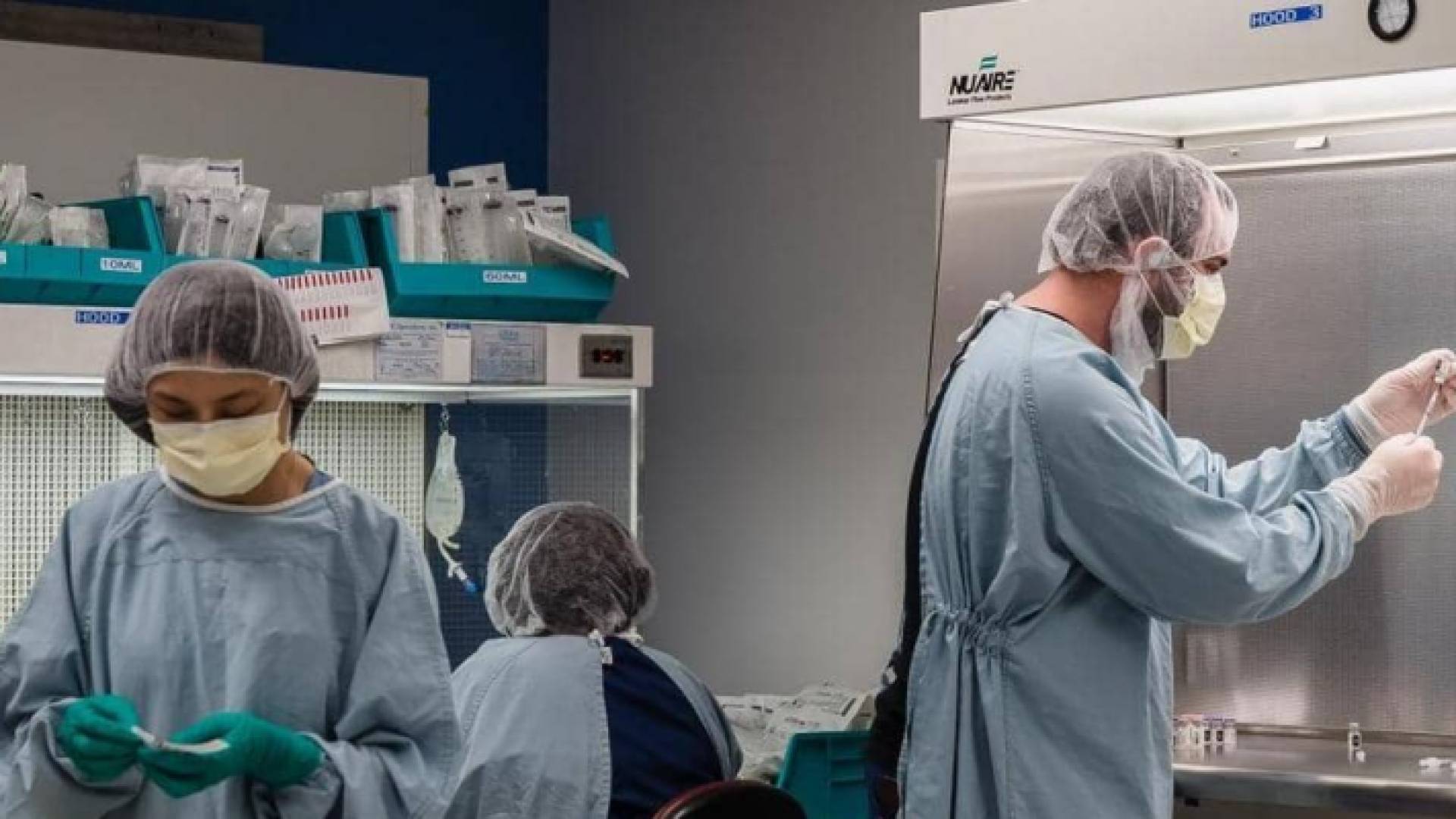 كورونا في أميركا