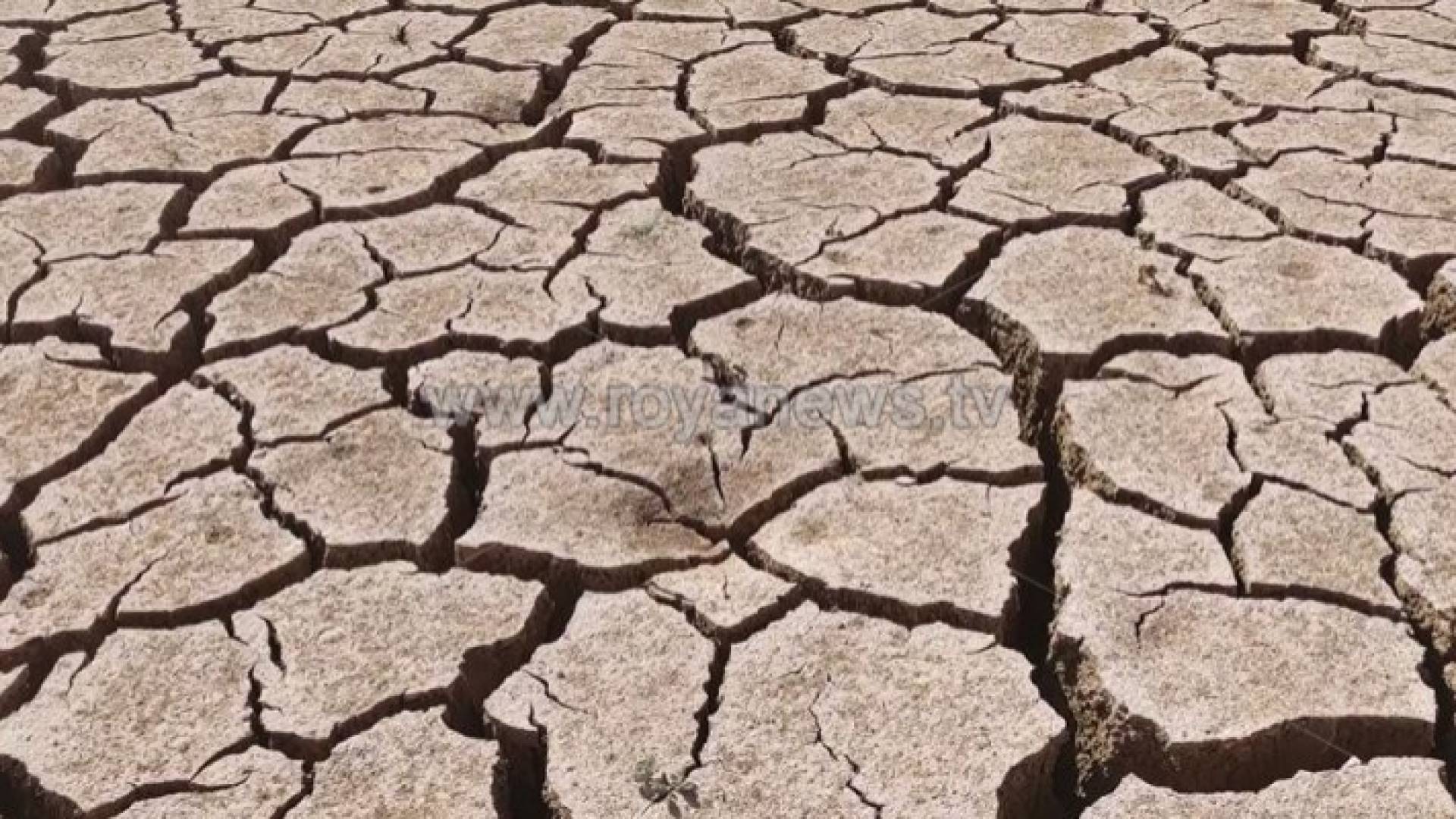 جفاف سد الوالة - ارشيفية