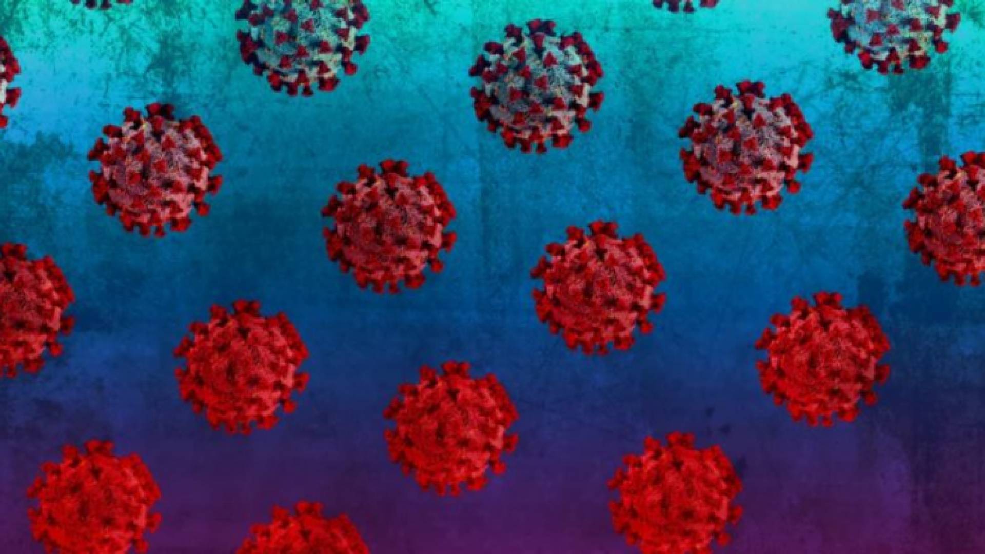 الصحة العالمية: متحور هيهي مجرد شائعة من وسائل التواصل