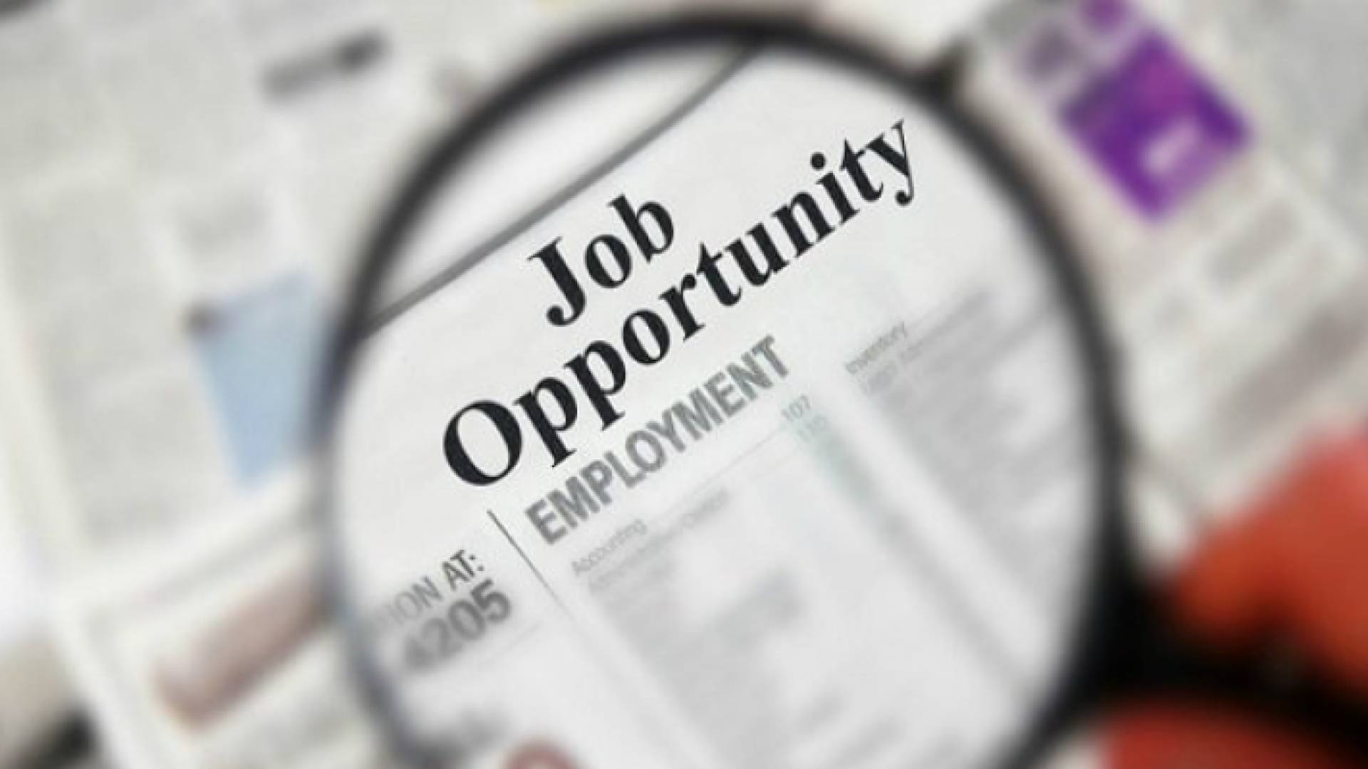 دراسة.. الوظائف التي يطمح لها الشباب في الأردن غير متوفرة