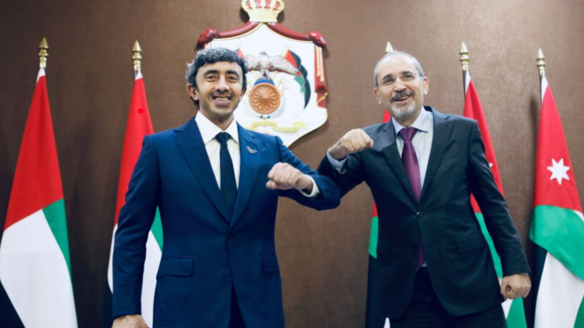 الصفدي ونظيره الإماراتي