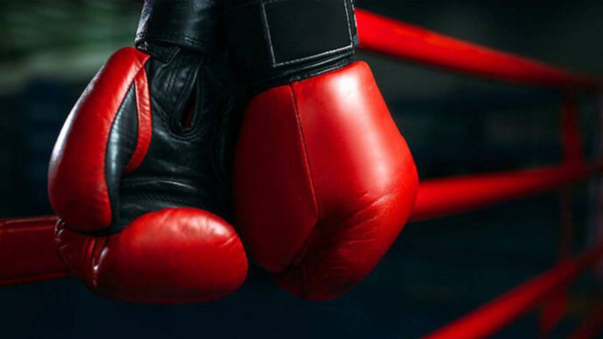 حكمتان تشاركان في إدارة البطولة العسكرية للملاكمة