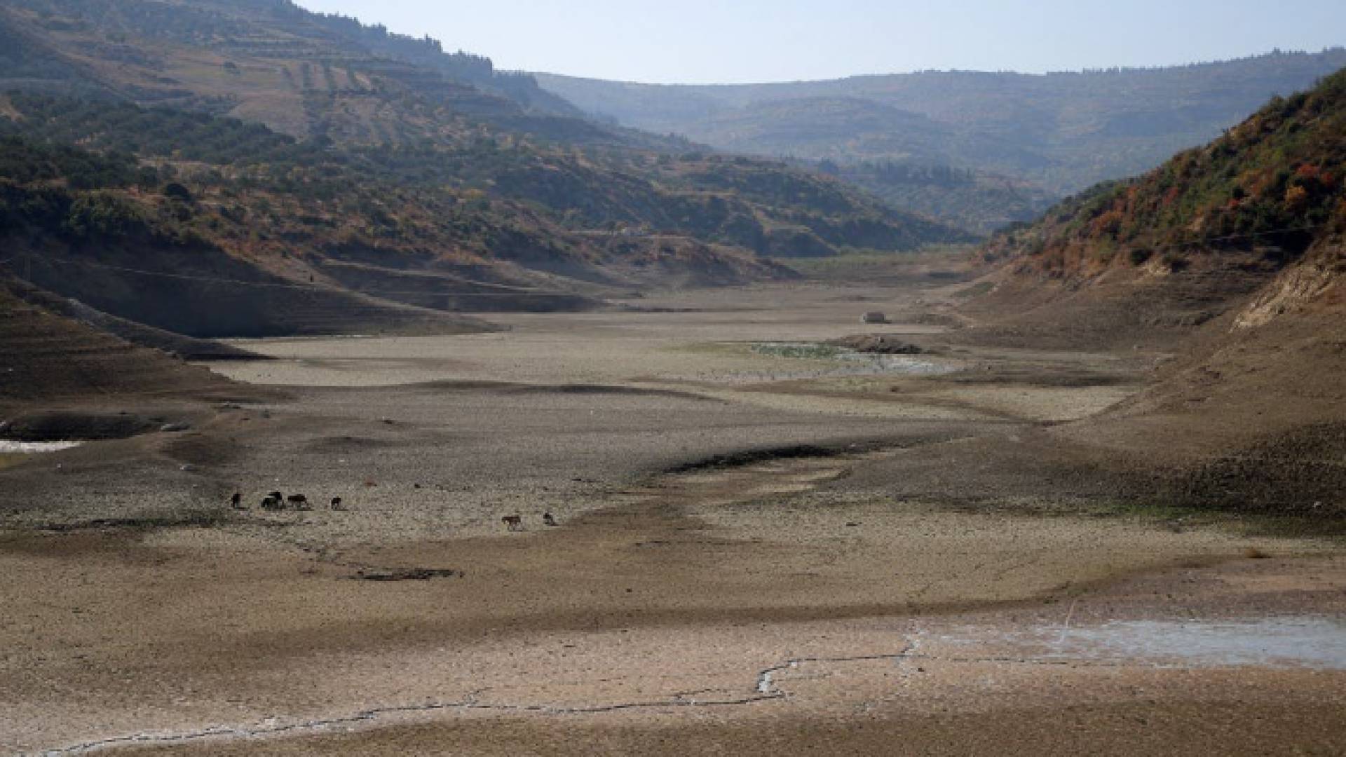 سد الدويسات في محافظة إدلب شمال غرب سوريا