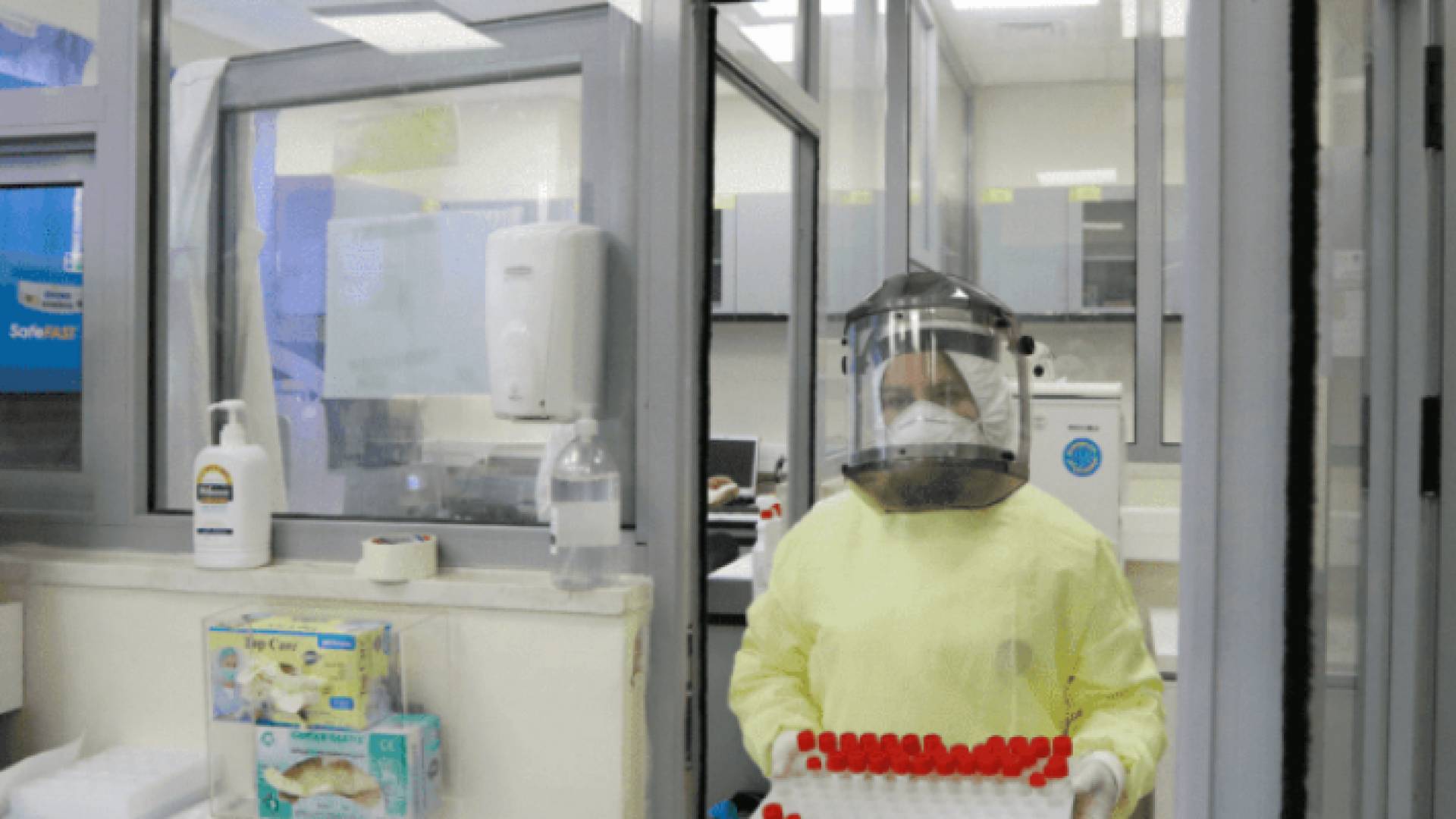 فرق التقصي الوبائي في فلسطين - ارشيفية