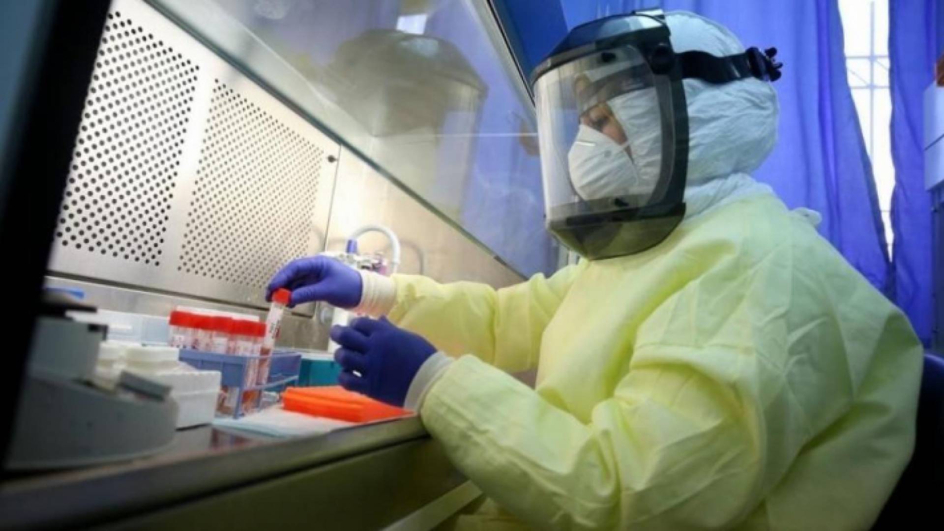 فرق التقصي الوبائي في فلسطين - ارشيفية