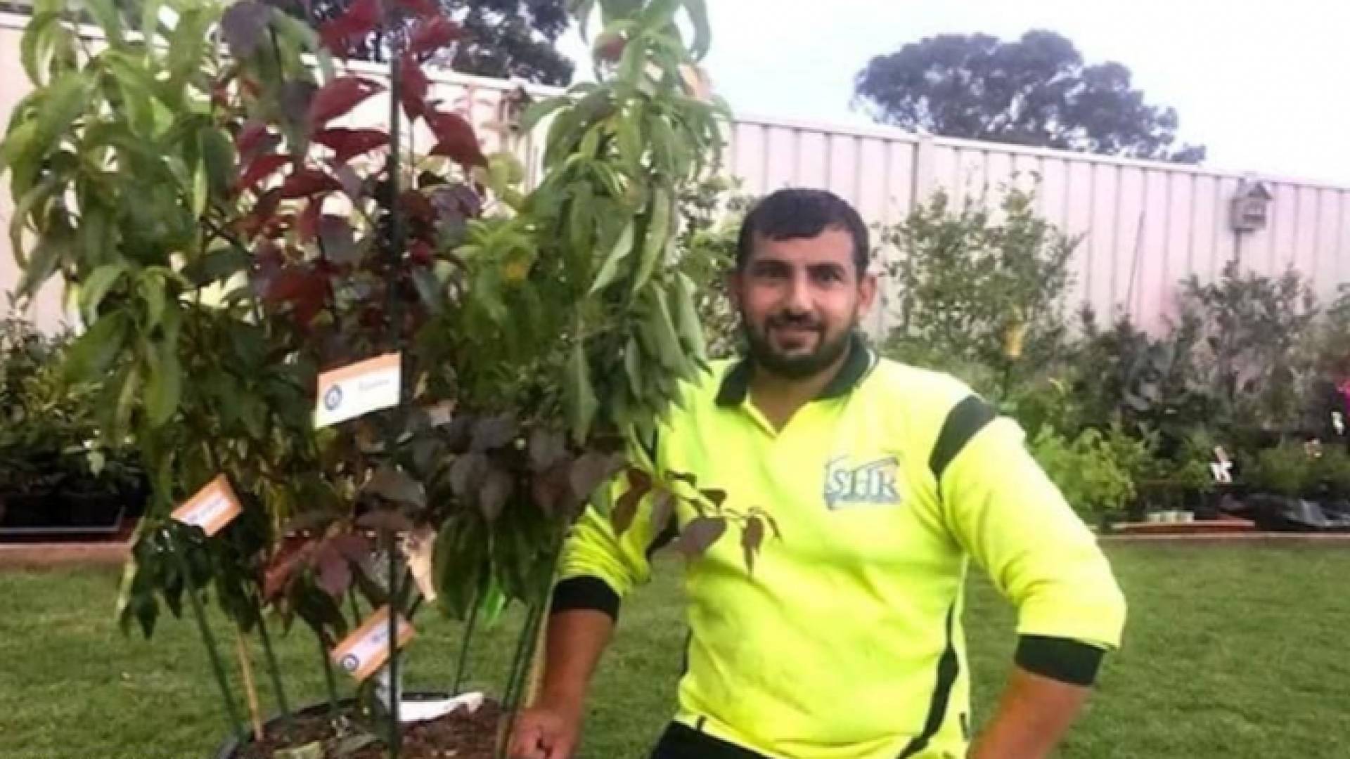 شجرة تثمر خمسة أنواع مختلفة من الفاكهة