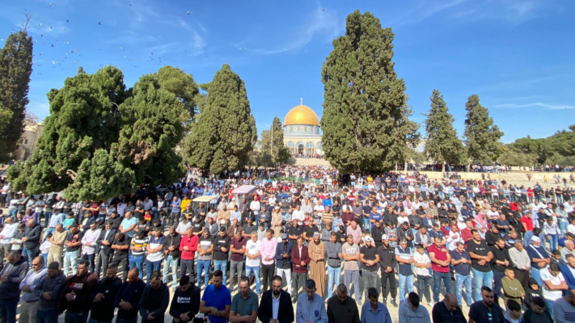 جانب من صلاة الجمعة في رحاب المسجد الأقصى