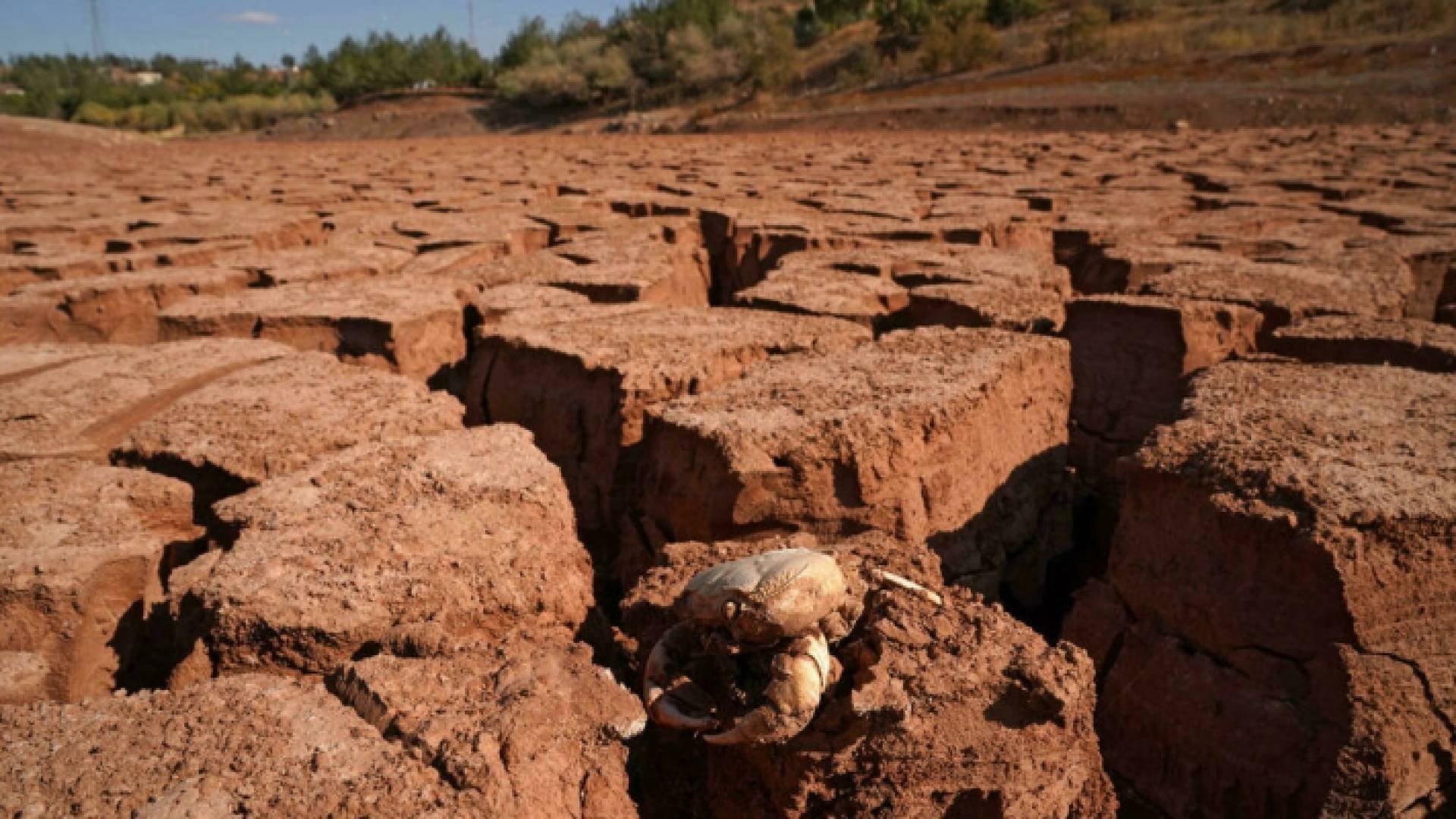 خزان سد زويتا الذي جفت مياهه بالكامل لأول مرة بسبب عدم هطول الأمطار في دهوك في إقليم كردستان العراق - ا.ف.ب