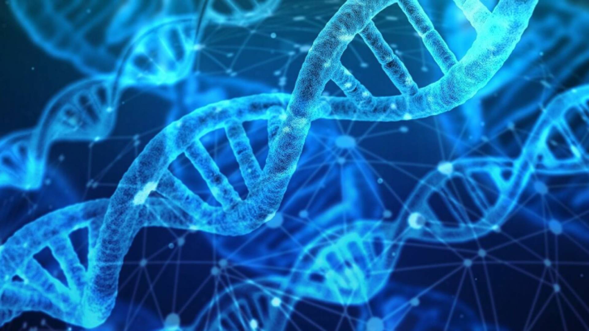 جينات - تعبيرية