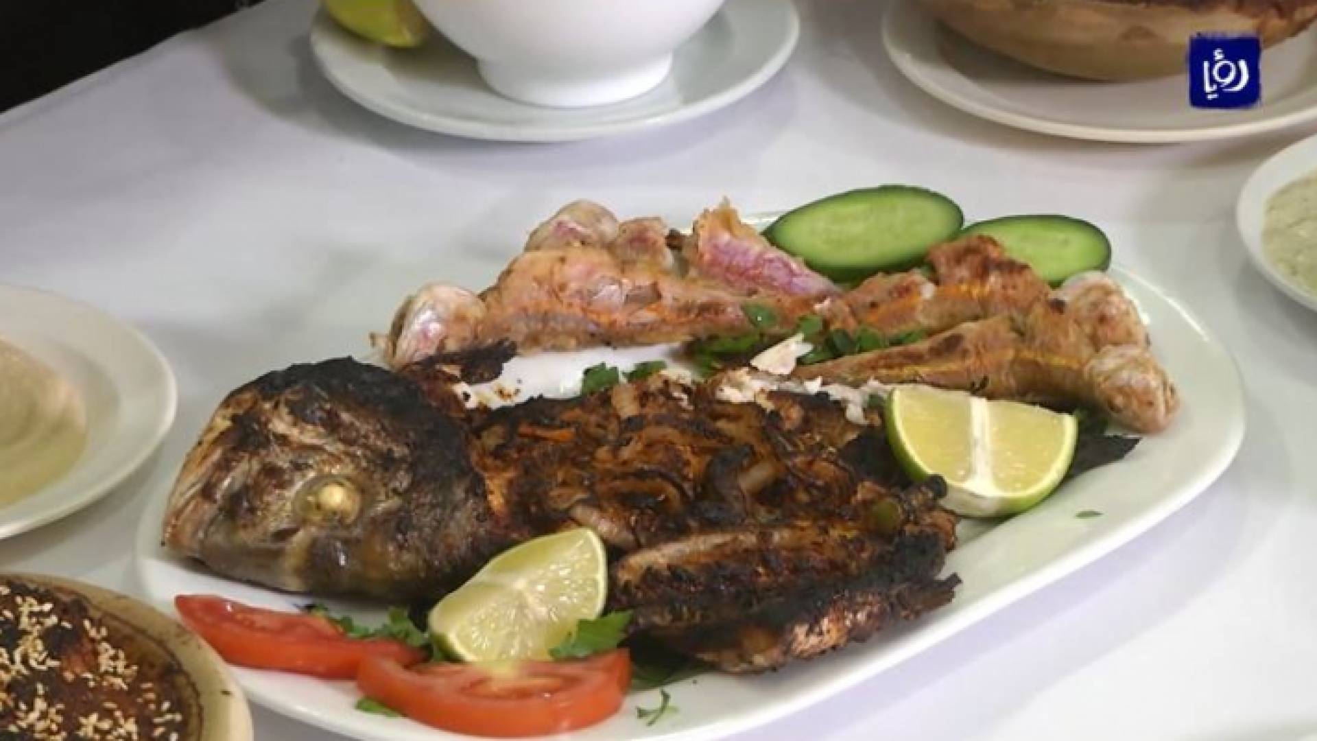 الأسماك في غزة مصدر رزق وثروة لا تقدر بثمن