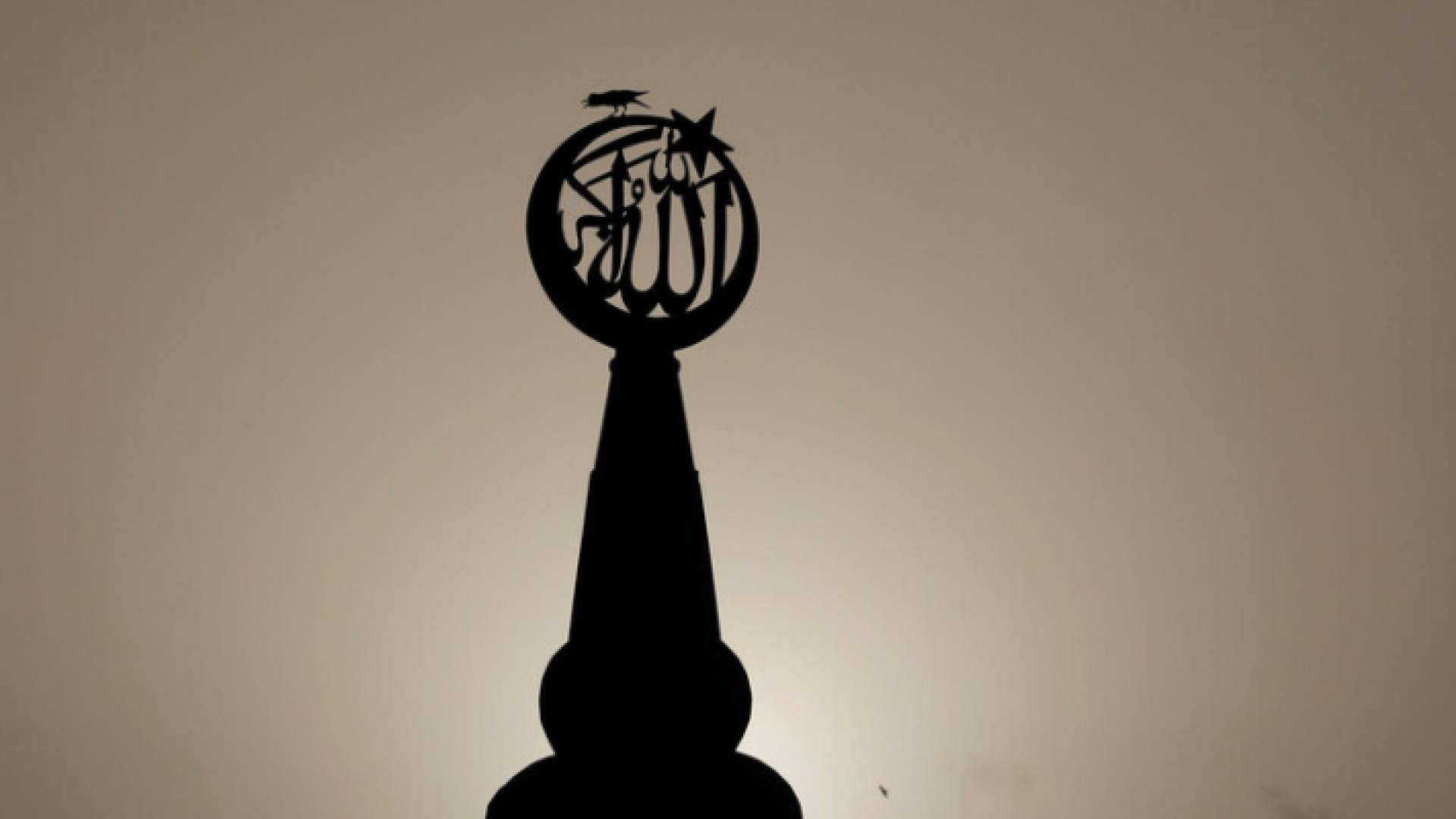 هدية سعودية إلى باكستان