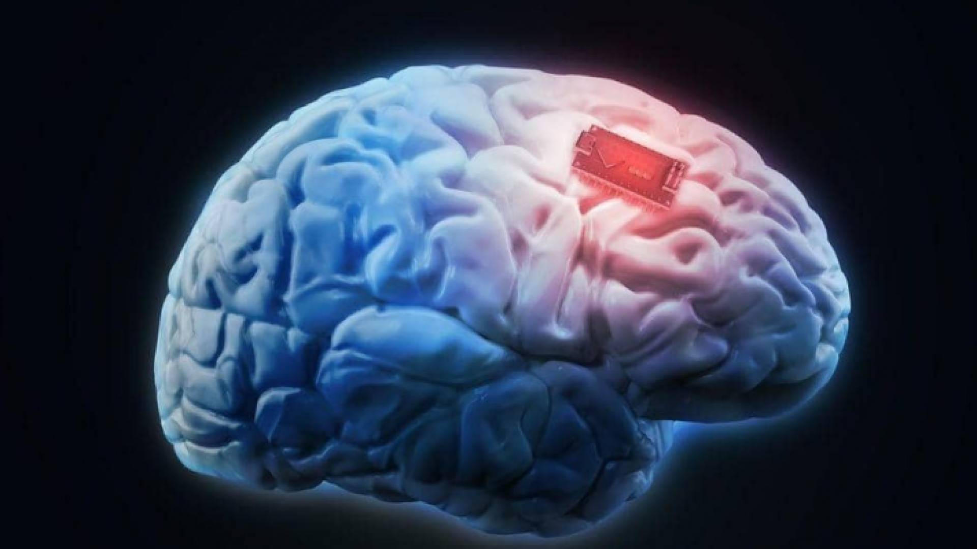 الشريحة زرعت بالدماغ