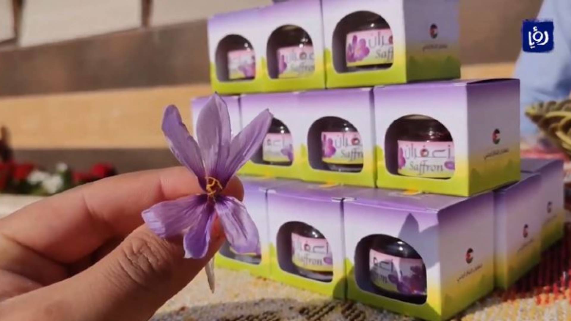 نبتة الزعفران