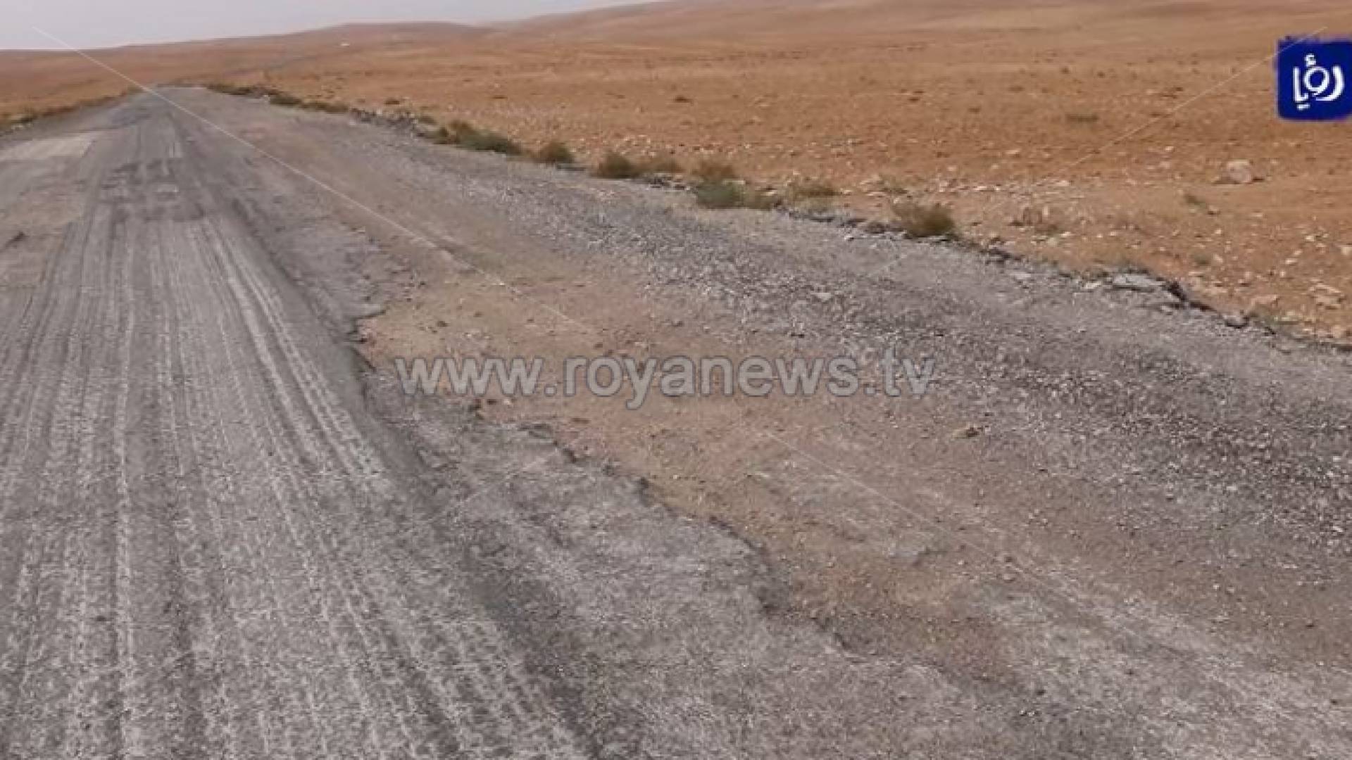 "شقيرا - الحامدية"