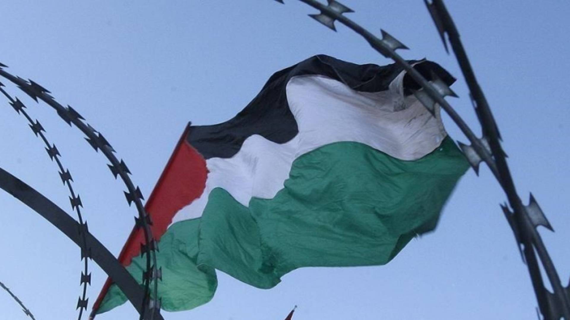 العلم الفلسطيني