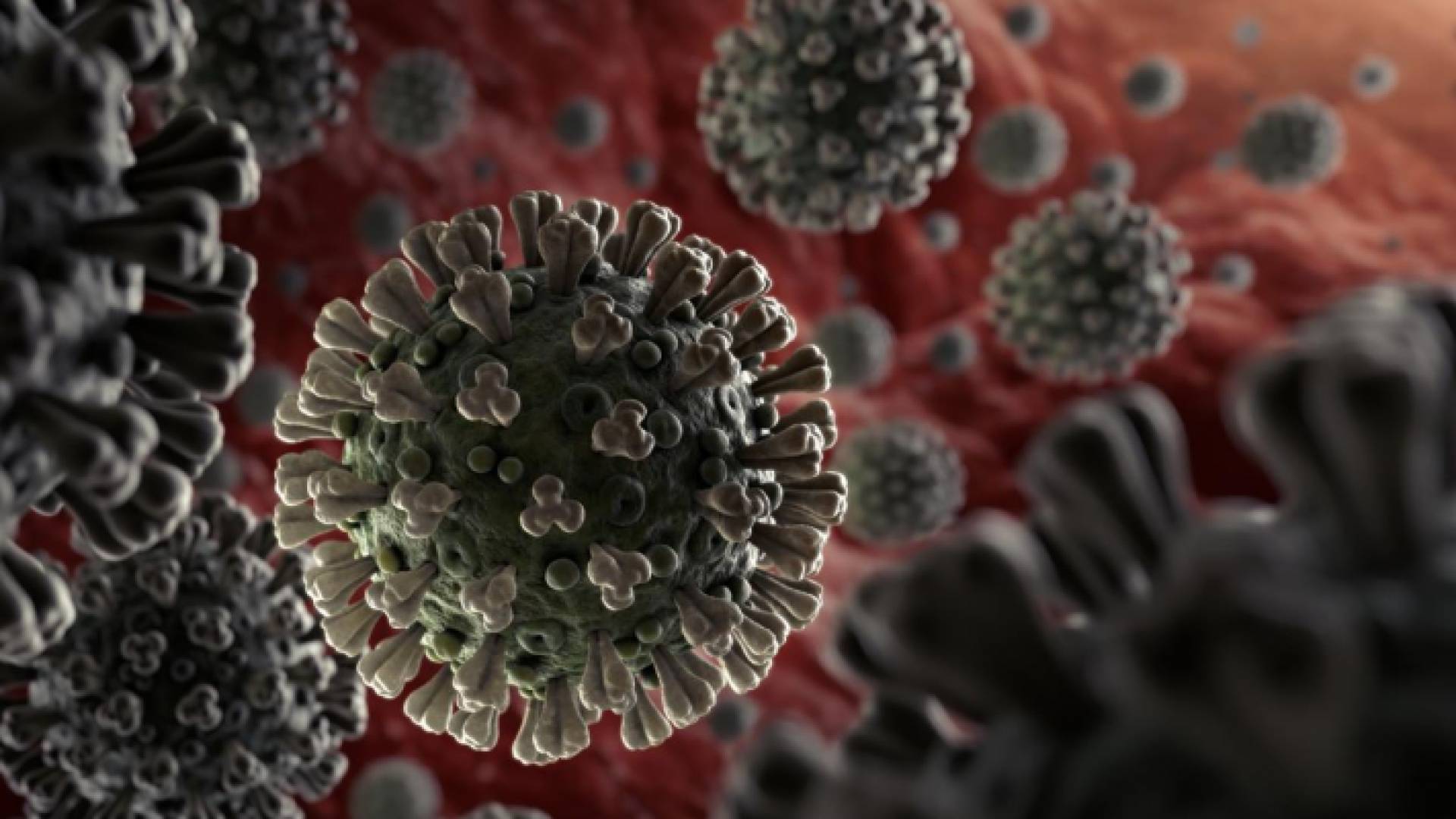 صورة مجهرية لفيروس كورونا