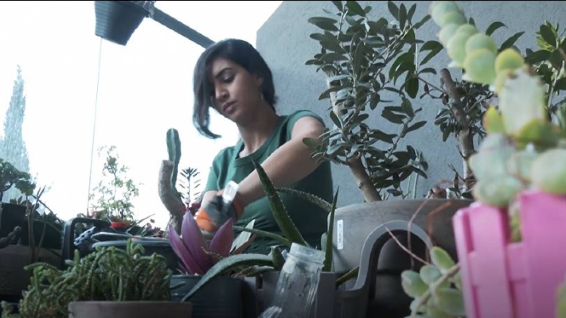 مهندستان في حيفا تطوعان الإسمنت بطريقة مبتكرة لخدمة مشروعهما