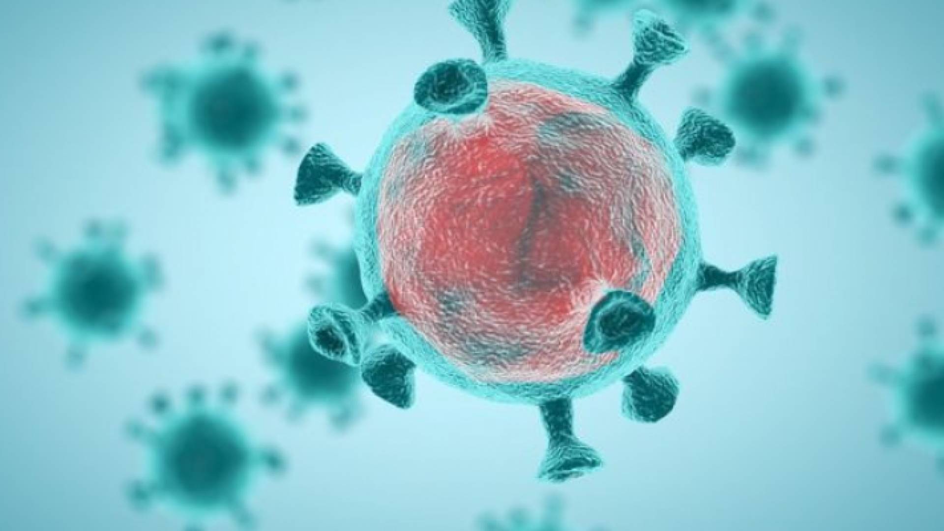 فيروس كورونا - ارشيفية