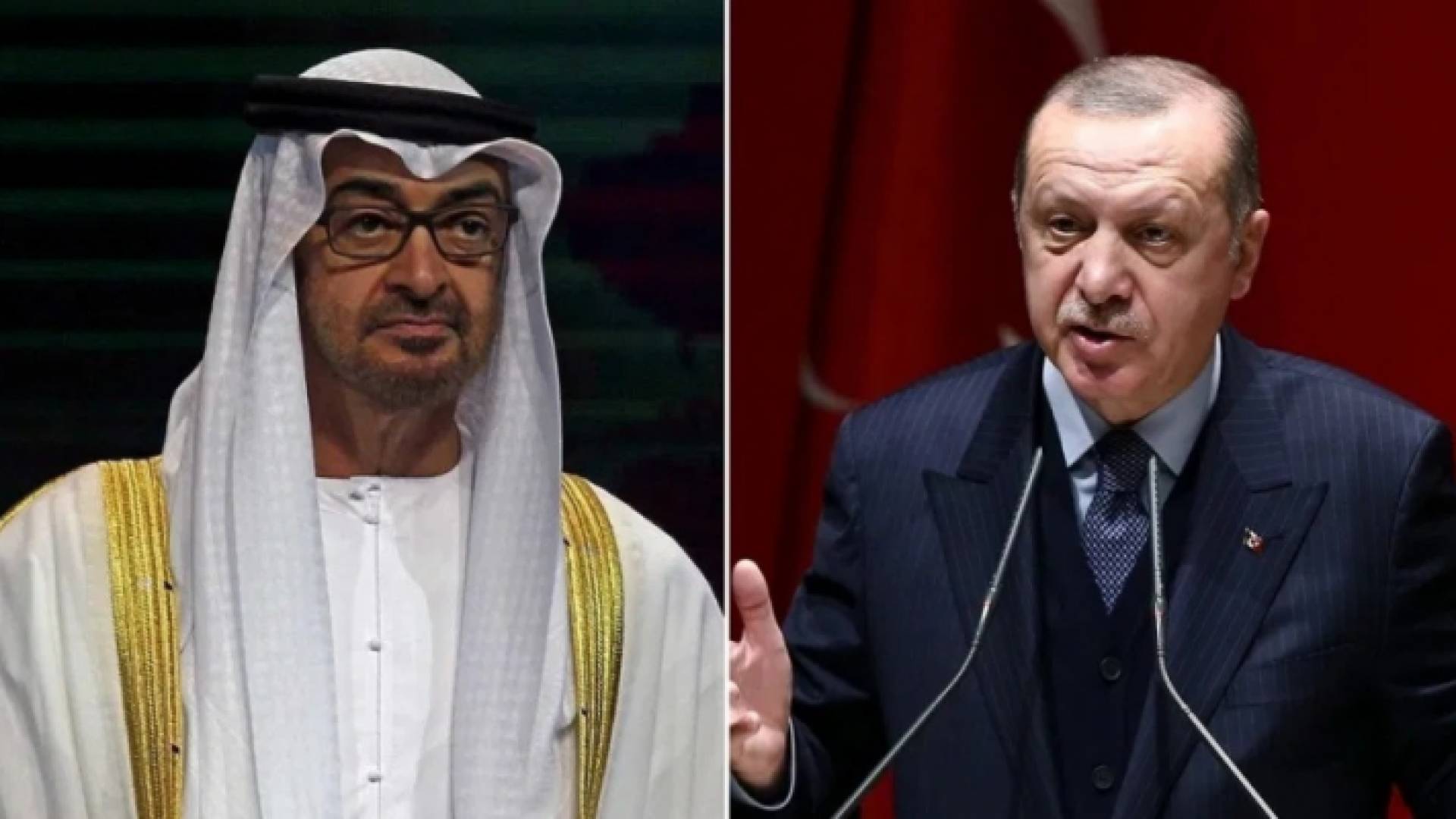 أردوغان ومحمد بن زايد