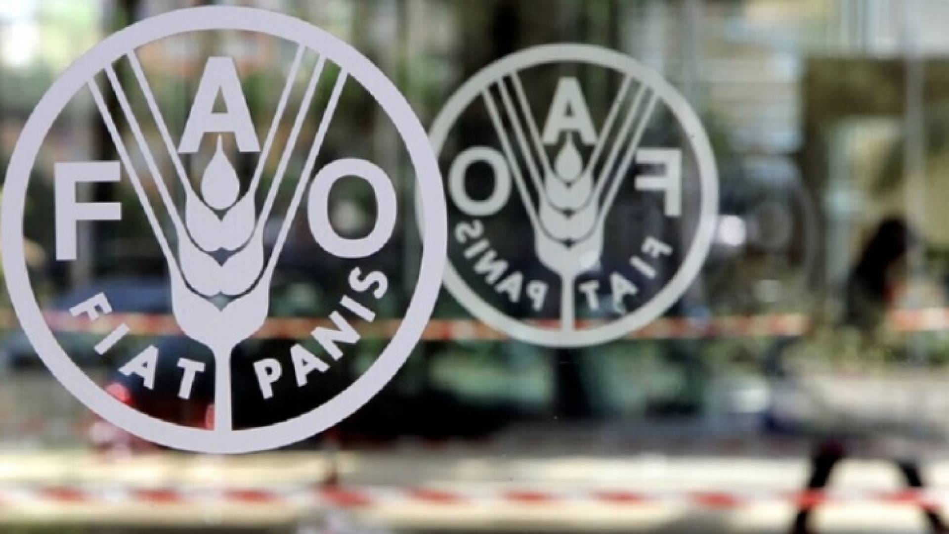 شعار منظمة الأغذية والزراعة "فاو"