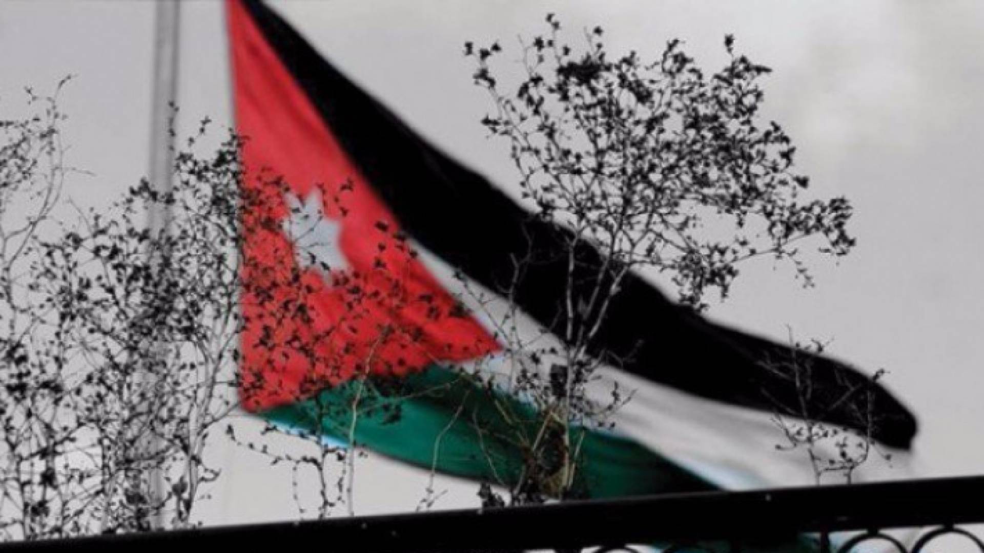 العلم الأردني خلف اغصان الشجر