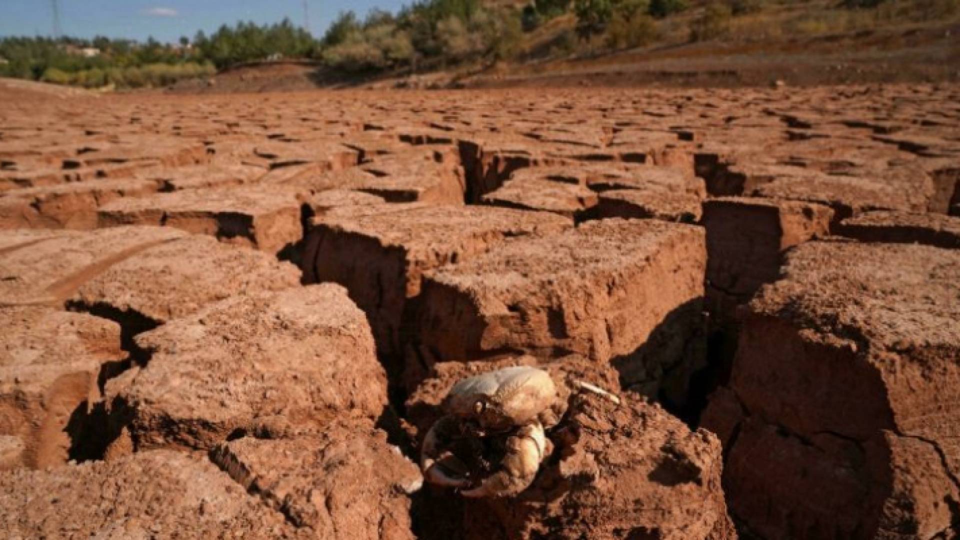 خزان سد زويتا الذي جفت مياهه بالكامل لأول مرة بسبب عدم هطول الأمطار في دهوك في إقليم كردستان العراق - ا.ف.ب