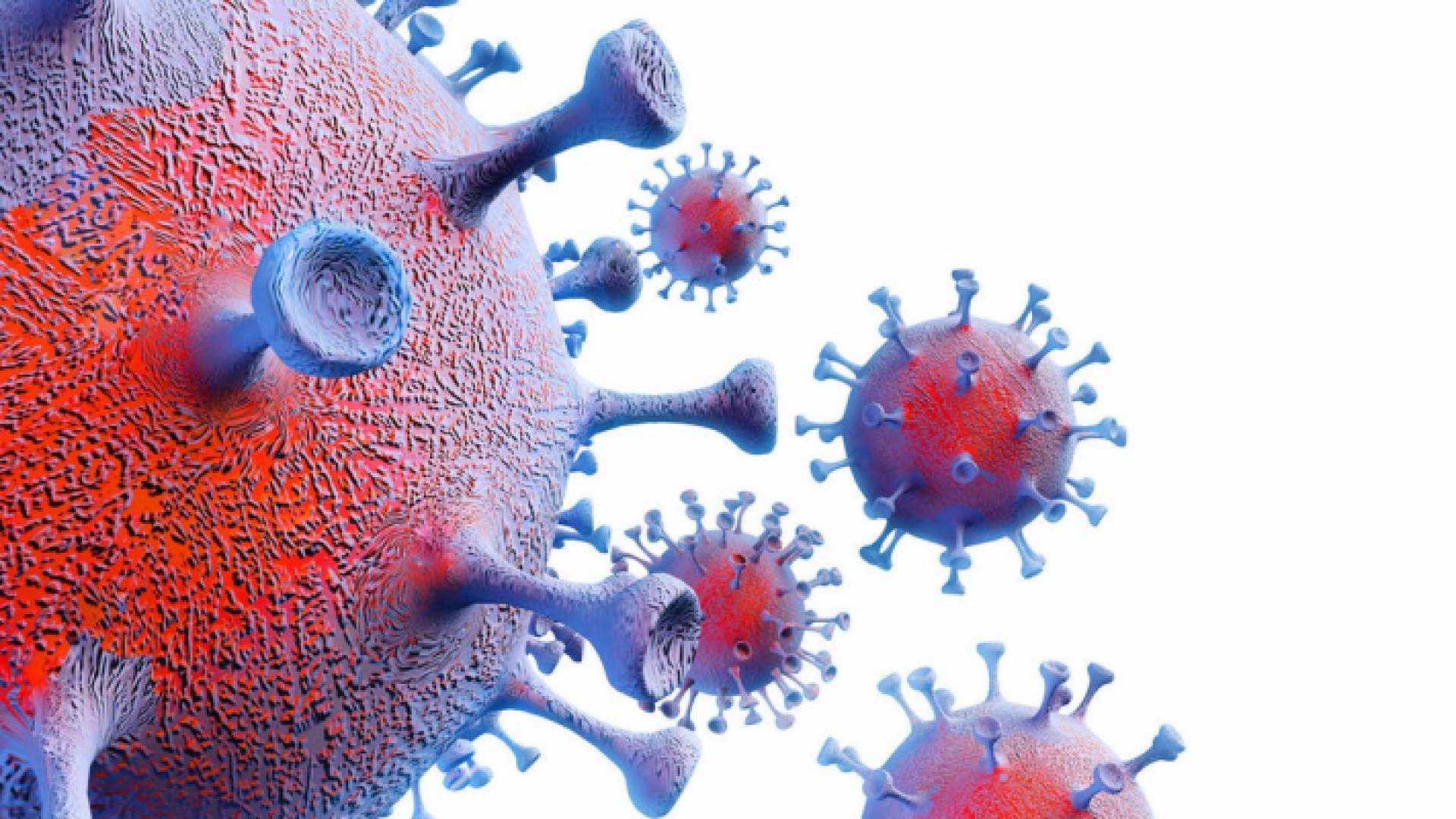 كورونا - ارشيفية