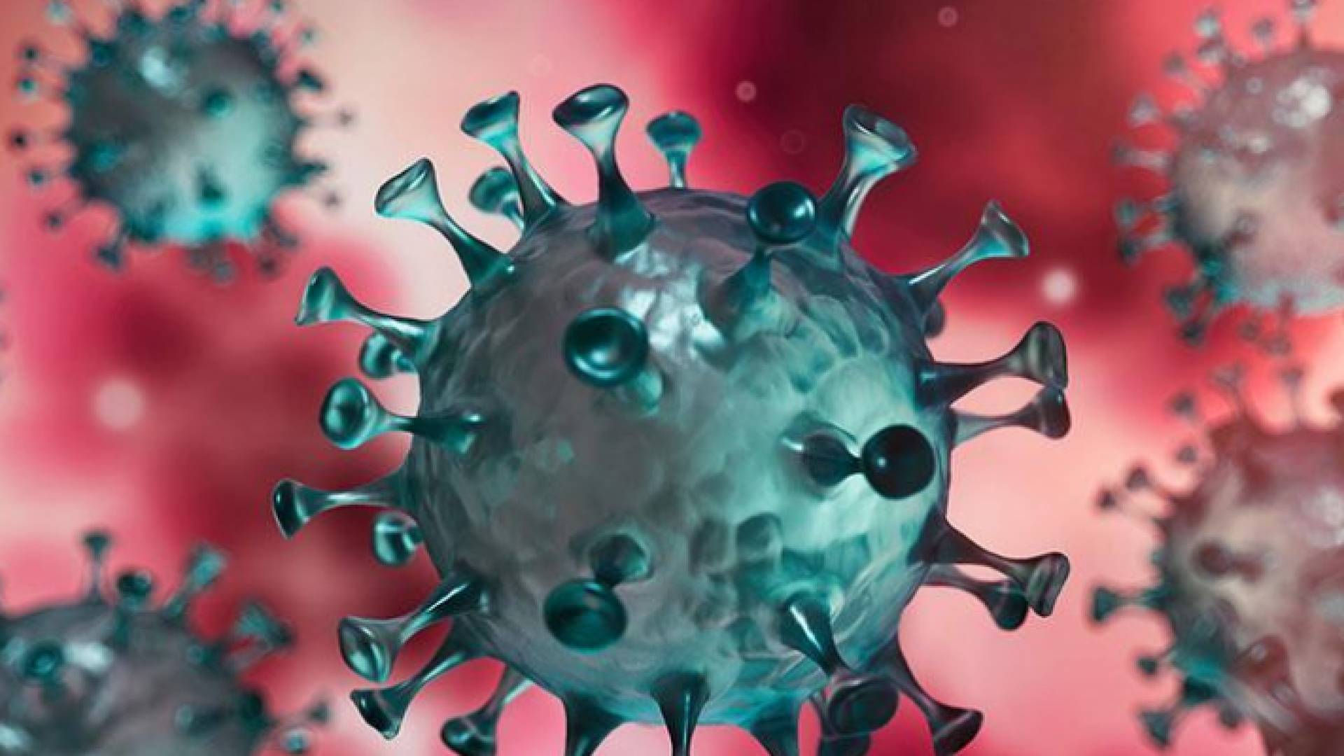 فيروس كورونا - تعبيرية