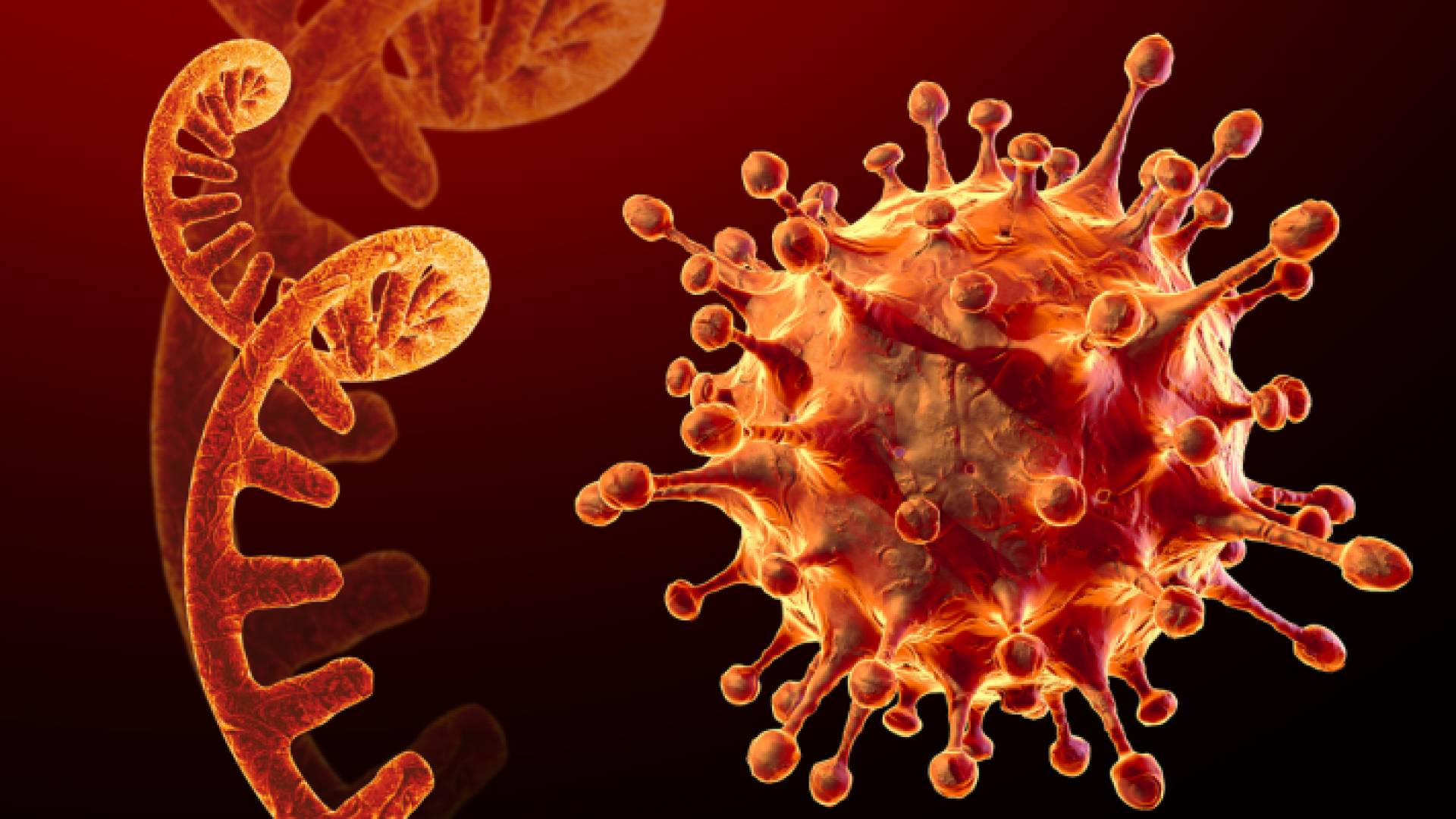 فيروس كورونا - تعبيرية